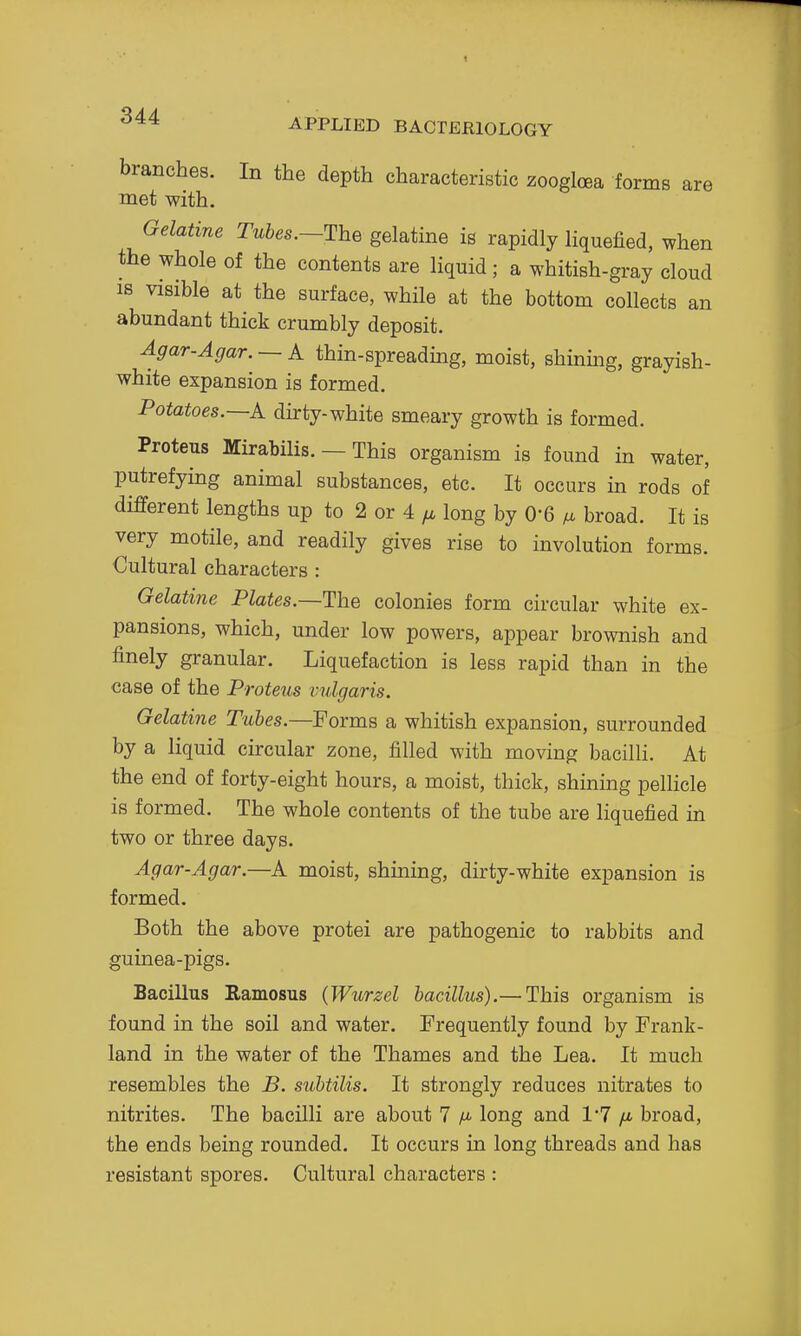 APPLIED BACTERIOLOGY branches. In the depth characteristic zooglcea forms are met with. Gelatine Tubes.—gelatine is rapidly liquefied, when the whole of the contents are liquid; a whitish-gray cloud IS visible at the surface, while at the bottom collects an abundant thick crumbly deposit. Agar-Agar. — A thin-spreading, moist, shinmg, grayish- white expansion is formed. Potatoes.—k dirty-white smeary growth is formed. Proteus Mirabilis. — This organism is found in water, putrefying animal substances, etc. It occurs in rods of different lengths up to 2 or 4 long by 0-6 ^JL broad. It is very motile, and readily gives rise to involution forms. Cultural characters : Gelatine Plates.—^he colonies form circular white ex- pansions, which, under low powers, appear brownish and finely granular. Liquefaction is less rapid than in the case of the Proteus vulgaris. Gelatine Tubes.—Forms a whitish expansion, surrounded by a liquid circular zone, filled with moving bacilli. At the end of forty-eight hours, a moist, thick, shining pellicle is formed. The whole contents of the tube are liquefied ui two or three days. Agar-Agar.—A moist, shining, dirty-white expansion is formed. Both the above protei are pathogenic to rabbits and guinea-pigs. Bacillus Ramosus (Wurzel bacillus).— This organism is found in the soil and water. Frequently found by Frank- land in the water of the Thames and the Lea. It much resembles the B. subtilis. It strongly reduces nitrates to nitrites. The bacilli are about 7 /i- long and 1'7 /* broad, the ends being rounded. It occurs in long threads and has resistant spores. Cultural characters :