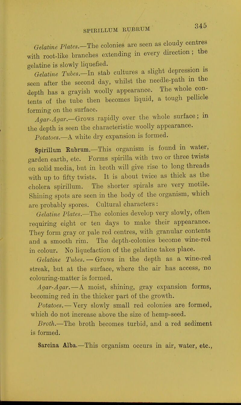 SPIRILLUM RUBRUM '^^^ Gelatme Flates.-The colonies are seen as cloudy centres with root-like branches extending in every direction; the gelatine is slowly liqueiied. Gelatine Tnhes.-ln stab cultures a slight depression is seen after the second day, whilst the needle-path m the depth has a grayish woolly appearance. The whole con- tents of the tube then becomes liquid, a tough pellicle forming on the surface. ^^ar-^^7a7-.—Grows rapidly over the whole surface; in the depth is seen the characteristic woolly appearance. Potatoes—A white dry expansion is formed. Spirillum Rubrum.—This organism is found in water, garden earth, etc. Forms spirilla with two or three twists on solid media, but in broth will give rise to long threads with up to fifty twists. It is about twice as thick as the cholera spirillum. The shorter sphals are very motile. Shining spots are seen in the body of the organism, which are probably spores. Cultural characters : Gelatine Plates.—The colonies develop very slowly, often requiring eight or ten days to make their appearance. They form gray or pale red centres, with granular contents and a smooth rim. The depth-colonies become wine-red in colour. No liquefaction of the gelatine takes place. Gelatine Tubes. — GroviS in the depth as a wine-red streak, but at the surface, where the air has access, no colouring-matter is formed. Agar-Agar.—A moist, shining, gray expansion forms, becoming red in the thicker part of the growth. Potatoes. — Yery slowly small red colonies are formed, which do not increase above the size of hemp-seed. Broth.—The broth becomes turbid, and a red sediment is formed. Sarcina Alba.—This organism occurs in air, water, etc..