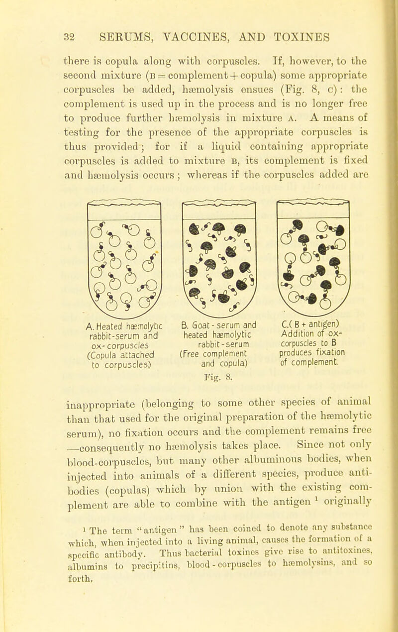 thei'e ia copula along with corpuscles. If, however, to the second mixture (b = complement + copula) some appropriate corpuscles be added, haemolysis ensues (Fig. 8, c): the complement is used up in the process and is no longer free to produce further haemolysis in mixture A. A means of testing for the presence of the appropriate corpuscles is thus provided; for if a liquid containing appropriate corpuscles is added to mixture B, its complement is fixed and haemolysis occurs ; whereas if the corpuscles added are A. Heated hemolytic B. Goat - serum and C.( B + antigen) rabbit-serum and heated hemolytic Addition of ox- ox-corpuscles rabbit-serum corpuscles to B (Copula attached (Free complement produces fixation to corpuscles.) and copula.) of complement. Fig. 8. inappropriate (belonging to some other species of animal than that used for the original preparation of the hismolytic serum), no fixation occurs and the complement remains free consequently no hemolysis takes place. Since not only blood-corpuscles, but many other albuminous bodies, when injected into animals of a different species, produce anti- bodies (copulas) which by union with the existing com- plement are able to combine with the antigen 1 originally i The term  antigen  has been coined, to denote any substance which, when injected into a living animal, causes the formation of a specific antibody. Thus bacterial toxines give rise to antitoxines, albumins to precipitins, blood - corpuscles to hemolysins, and so forth.
