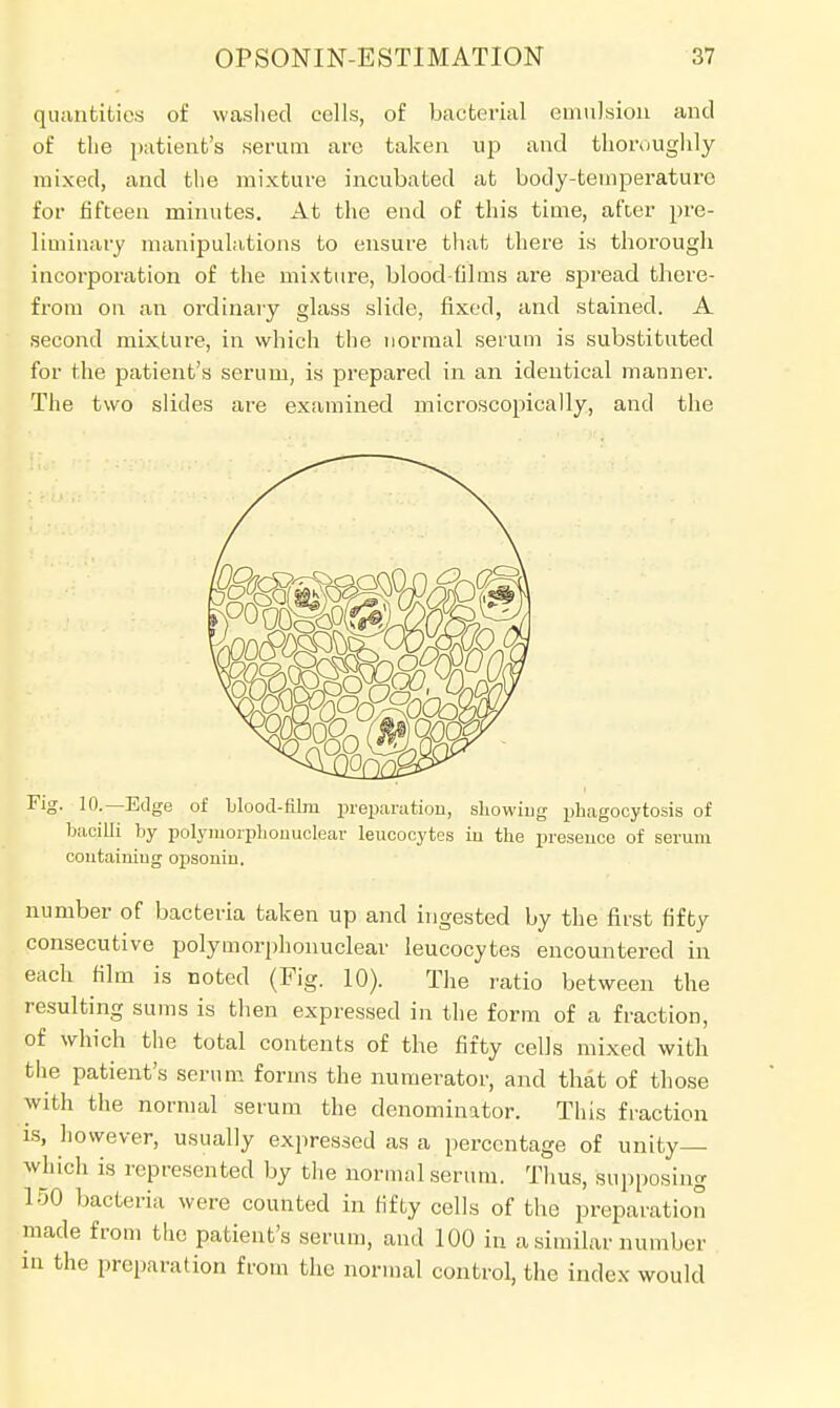 quantities of washed cells, of bacterial emulsion and of the patient's serum arc taken up and thoroughly mixed, and the mixture incubated at body-temperature for fifteen minutes. At the end of this time, after pre- liminary manipulations to ensure that there is thorough incorporation of the mixture, blood-films are spread there- from on an ordinary glass slide, fixed, and stained. A second mixture, in which the normal serum is substituted for the patient's serum, is prepared in an identical manner. The two slides are examined microscopically, and the Fig. 10.—Edge of blood-film preparation, showing phagocytosis of bacilli by polymorphonuclear leucocytes in the presence of serum containing opsonin. number of bacteria taken up and ingested by the first fifty consecutive polymorphonuclear leucocytes encountered in each film is noted (Fig. 10). The ratio between the resulting sums is then expressed in the form of a fraction, of which the total contents of the fifty cells mixed with the patient's serum forms the numerator, and that of those with the normal serum the denominator. This fraction is, however, usually expressed as a percentage of unity— which is represented by the normal serum. Thus, supposing 150 bacteria were counted in fifty cells of the preparation made from the patient's serum, and 100 in a similar number in the preparation from the normal control, the index would