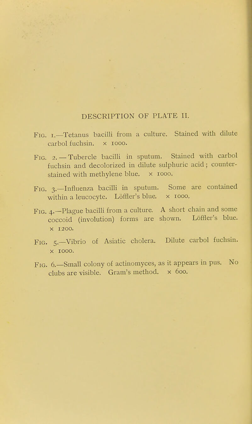 Fig. I.—Tetanus bacilli from a culture. Stained with dilute carbol fuchsin. x looo. Fig. 2. — Tubercle bacilli in sputum. Stained with carbol fuchsin and decolorized in dilute sulphuric acid; counter- stained with methylene blue, x looo. PiQ, 3—Influenza bacilli in sputum. Some are contained within a leucocyte. Loffler's blue, x lOoo. Fig. 4.—Plague bacilli from a culture. A short chain and some coccoid (involution) forms are shown. Loffler's blue. X 1200. Fig. 5.—Vibrio of Asiatic cholera. Dilute carbol fuchsin. X 1000. Fig. 6.—Small colony of actinomyces, as it appears in pus. No clubs are visible. Gram's method, x 600.