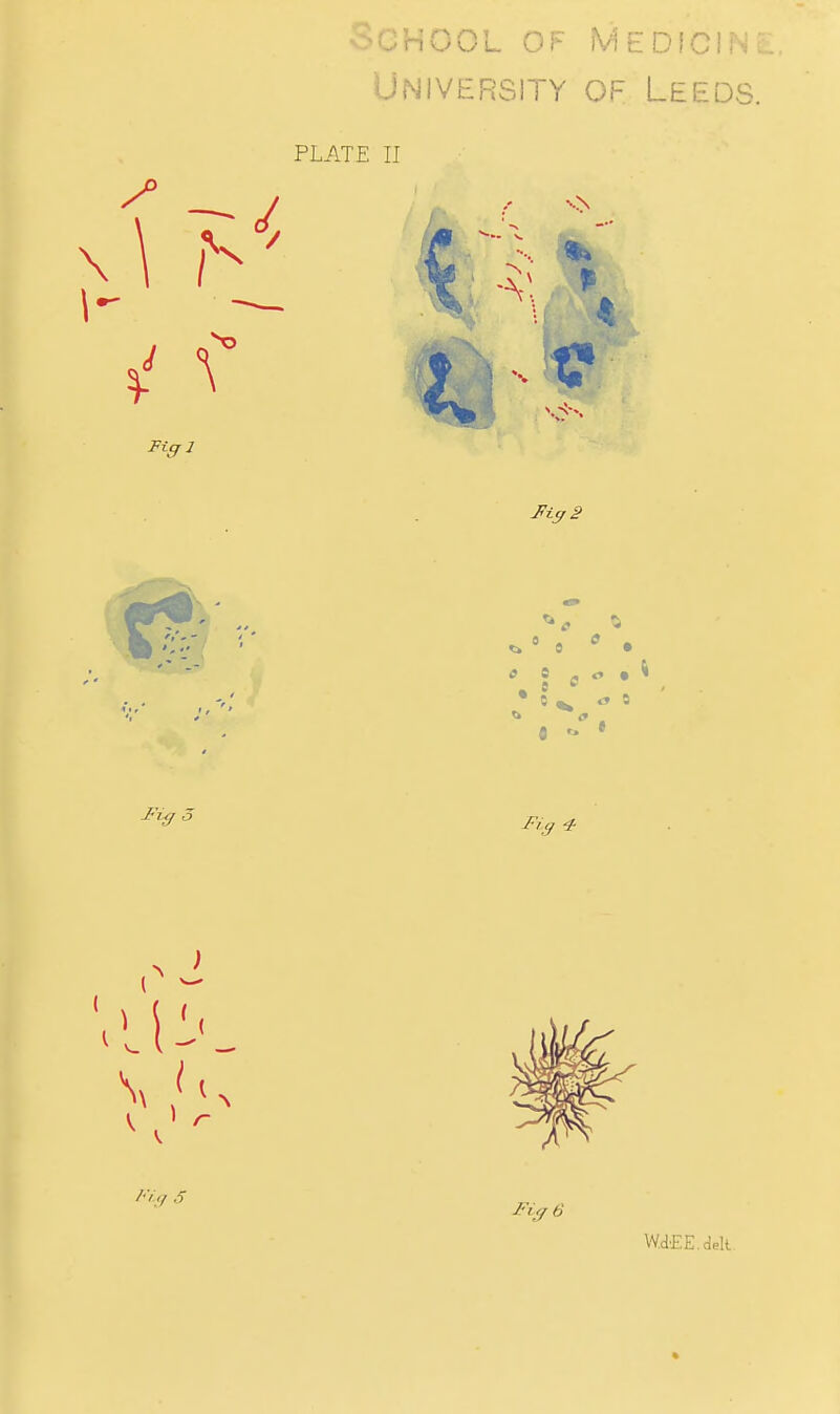 School of MEDicii., University of Leeds PLATE II W,d.EE,dek.