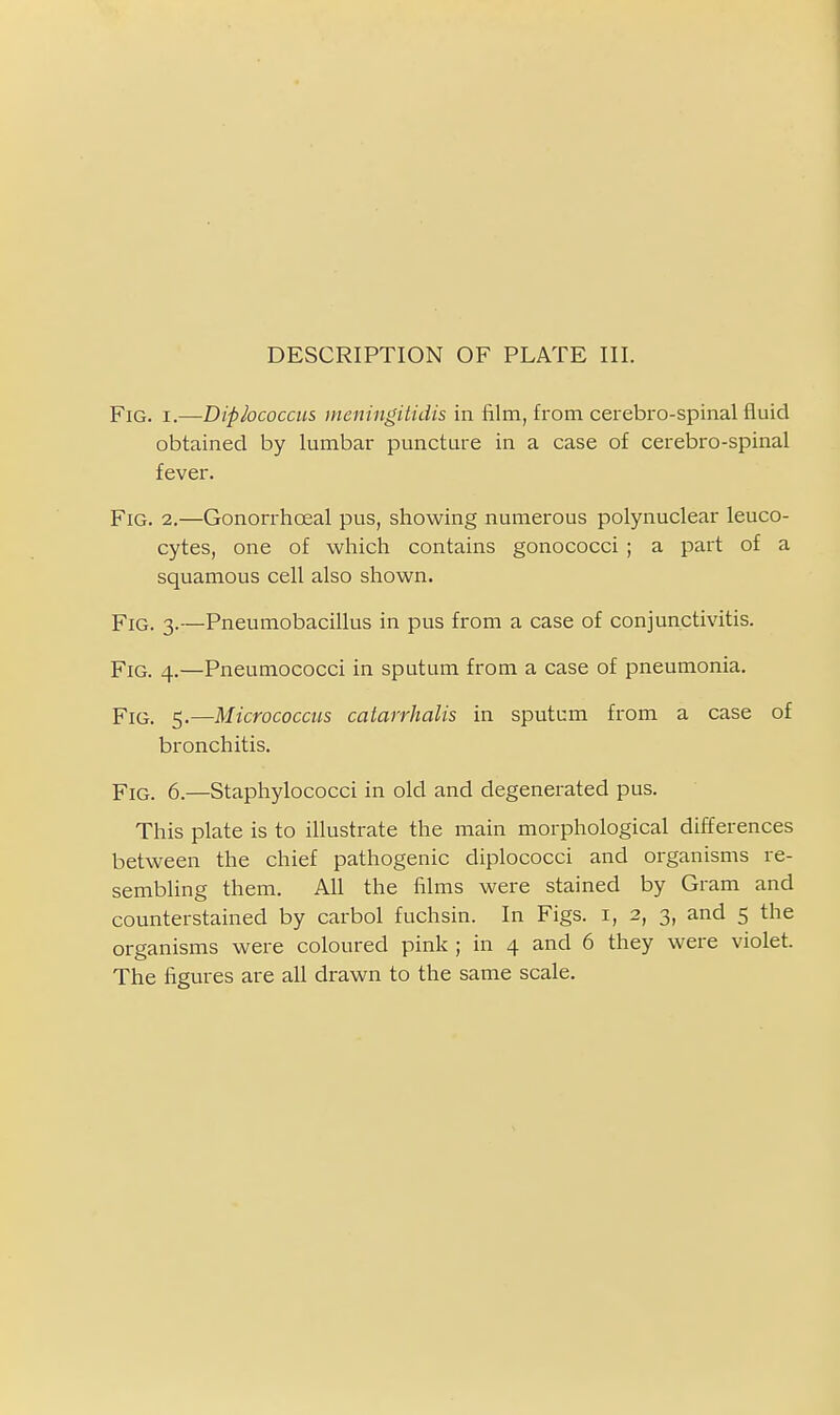 Fig. I.—Diplococcus meningitidis in film, from cerebro-spinal fluid obtained by lumbar puncture in a case of cerebro-spinal fever. Fig. 2.—Gonorrhoeal pus, showing numerous polynuclear leuco- cytes, one of which contains gonococci; a part of a squamous cell also shown. Fig. 3.—Pneumobacillus in pus from a case of conjunctivitis. Fig. 4.—Pneumococci in sputum from a case of pneumonia. Fig. 5.—Micrococcus catarrhalis in sputum from a case of bronchitis. Fig. 6.—Staphylococci in old and degenerated pus. This plate is to illustrate the main morphological differences between the chief pathogenic diplococci and organisms re- sembling them. All the films were stained by Gram and counterstained by carbol fuchsin. In Figs, i, 2, 3, and 5 the organisms were coloured pink ; in 4 and 6 they were violet. The figures are all drawn to the same scale.