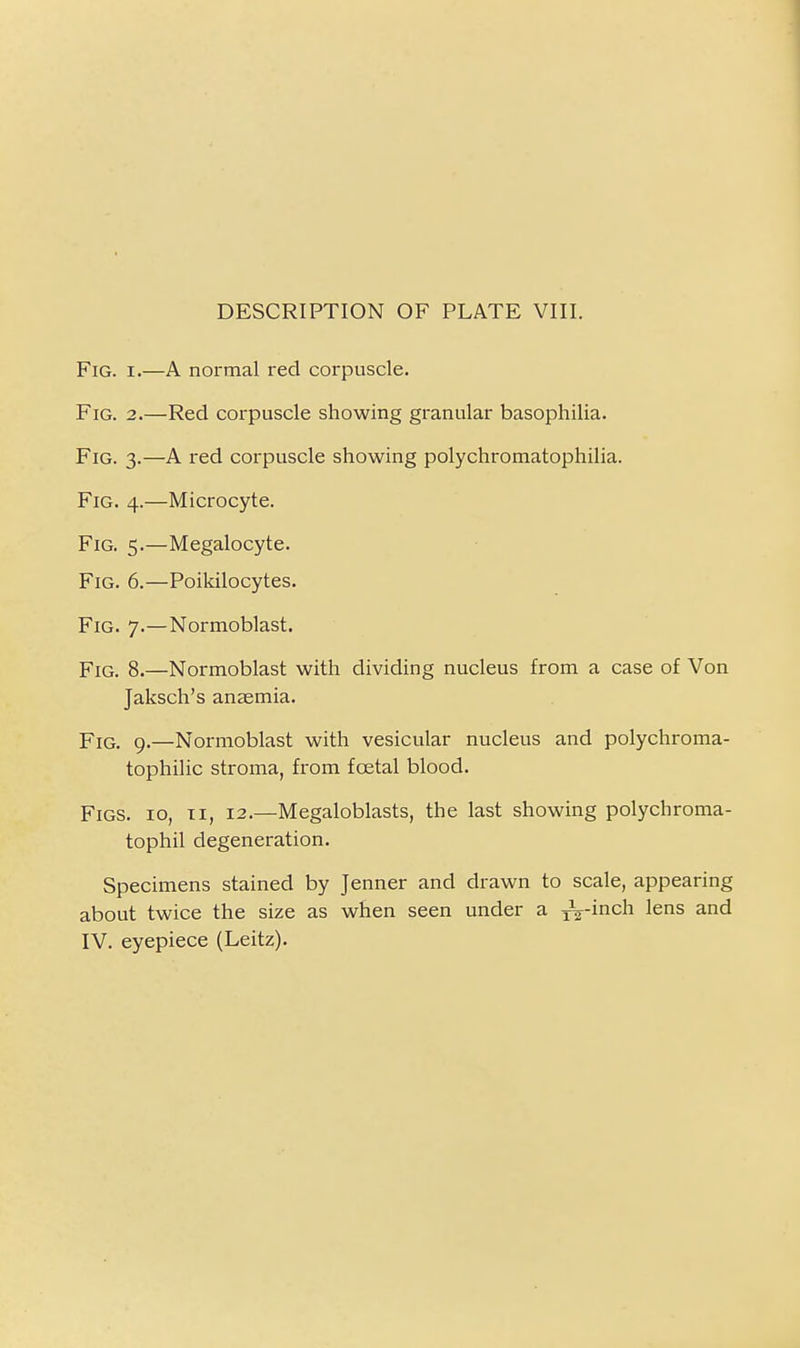 Fig. I.—A normal red corpuscle. Fig. 2.—Red corpuscle showing granular basophilia. Fig. 3.—A red corpuscle showing polychromatophilia. Fig. 4.—Microcyte. Fig. 5.—Megalocyte. Fig. 6.—Poikilocytes. Fig. 7.—Normoblast. Fig. 8.—Normoblast with dividing nucleus from a case of Von Jaksch's anaemia. Pig. g.—Normoblast with vesicular nucleus and polychroma- tophilic stroma, from foetal blood. Figs. 10, ii, 12.—Megaloblasts, the last showing polychroma- tophil degeneration. Specimens stained by Jenner and drawn to scale, appearing about twice the size as when seen under a J^-i^^h lens and