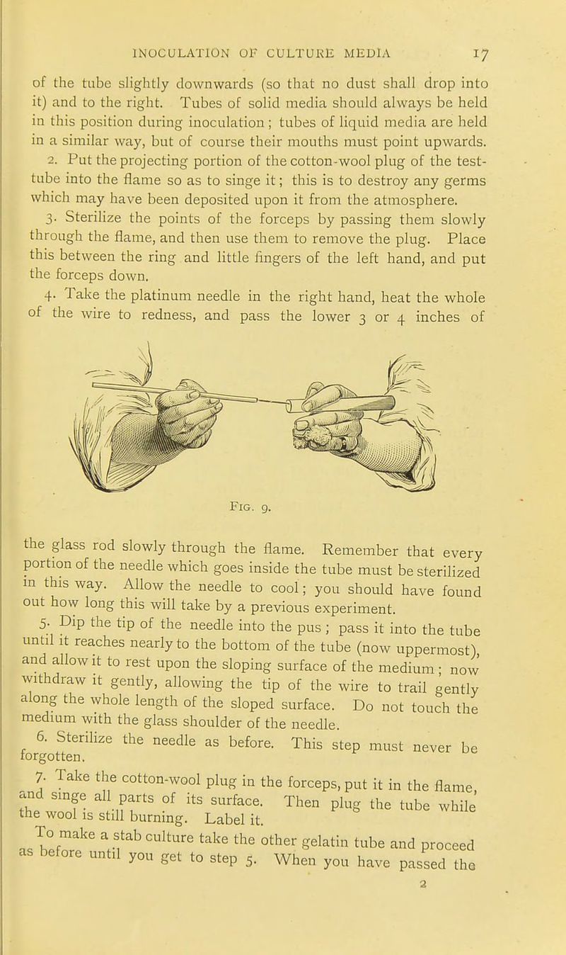 of the tube slightly downwards (so that no dust shall drop into it) and to the right. Tubes of solid media should always be held in this position during inoculation ; tubes of liquid media are held in a similar way, but of course their mouths must point upwards. 2. Put the projecting portion of the cotton-wool plug of the test- tube into the flame so as to singe it; this is to destroy any germs which may have been deposited upon it from the atmosphere. 3. Sterilize the points of the forceps by passing them slowly through the flame, and then use them to remove the plug. Place this between the ring and little fingers of the left hand, and put the forceps down. 4. Take the platinum needle in the right hand, heat the whole of the wire to redness, and pass the lower 3 or 4 inches of Fig. 9. the glass rod slowly through the flame. Remember that every portion of the needle which goes inside the tube must be sterilized m this way. Allow the needle to cool; you should have found out how long this will take by a previous experiment. 5- Dip the tip of the needle into the pus ; pass it into the tube until It reaches nearly to the bottom of the tube (now uppermost) and allow it to rest upon the sloping surface of the medium; now withdraw It gently, allowing the tip of the wire to trail gently along the whole length of the sloped surface. Do not touch the medium with the glass shoulder of the needle 6. Sterilize the needle as before. This step must never be forgotten. 7. Take the cotton-wool plug in the forceps, put it in the flame, the wTof luT °' P^S *he tube while the wool IS still burning. Label it. as^efnrf' ^.-f '^^ proceed as before until you get to step 5. When you have passed the