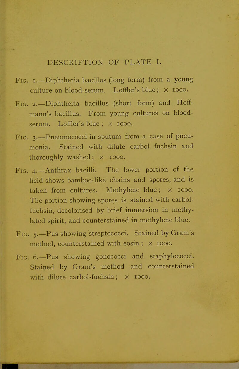 DESCRIPTION OF PLATE I. Fig. I.—Diphtheria bacillus (long form) from a young culture on blood-serum. Loffler's blue ; x looo. Fig. 2.—Diphtheria bacillus (short form) and Hoff- mann's bacillus. From young cultures on blood- serum. Loffler's blue ; x looo. Fig. 3.—Pneumococci in sputum from a case of pneu- monia. Stained with dilute carbol fuchsin and thoroughly washed; x 1000. Fig. 4.—Anthrax baciUi. The lower portion of the field shows bamboo-like chains and spores, and is taken from cultures. Methylene blue; x 1000. The portion showing spores is stained with carbol- fuchsin, decolorised by brief immersion in methy- lated spirit, and counterstained in methylene blue. Fig. 5.—Pus showing streptococci. Stained by Gram's method, counterstained with eosin ; x 1000. Fig. 6.—Pus showing gonococci and staphylococci. Stained by Gram's method and counterstained with dilute carbol-fuchsin; x 1000.