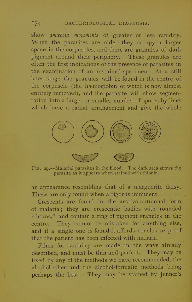 show amcehoid movements of greater or less rapidity. When the parasites are older they occupy a larger space in the corpuscles, and there are granules of dark pigment around their periphery. These granules are often the first indications of the presence of parasites in the examination of an unstained specimen. At a still later stage the granules will be found in the centre of the corpuscle (the haemoglobin of which is now almost entirely removed), and the parasite will show segmen- tation into a larger or smaller number of spores by lines which have a radial arrangement and give the whole Fig. 2g.—Malarial parasites in the blood. The dark area shows the parasite as it appears when stained with thionin. an appearance resembling that of a marguerite daisy. These are only found when a rigor is imminent. Crescents are found in the aestivo-autumnal form of malaria; they are crescentic bodies with rounded horns, and contain a ring of pigment granules in the centre. They cannot be mistaken for anything else, and if a single one is found it affords conclusive proof that the patient has been infected with malaria. Films for staining are made in the ways already described, and must be thin and perfect. They may be fixed by any of the methods we have recommended, the alcohol-ether and the alcohol-formalin methods being perhaps the best. They may be stained by Jenner's