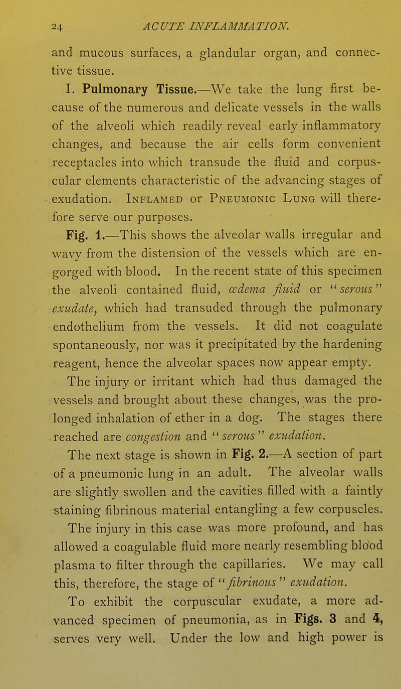 and mucous surfaces, a glandular organ, and connec- tive tissue. I. Pulmonary Tissue.—We take the lung first be- cause of the numerous and delicate vessels in the walls of the alveoli which readily reveal early inflammatory changes, and because the air cells form convenient receptacles into which transude the fluid and corpus- cular elements characteristic of the advancing stages of exudation. Inflamed or Pneumonic Lung will there- fore serve our purposes. Fig. 1.—This shows the alveolar walls irregular and wavy from the distension of the vessels which are en- gorged with blood. In the recent state of this specimen the alveoli contained fluid, oedema fluid or  serous11 exudate, which had transuded through the pulmonary endothelium from the vessels. It did not coagulate spontaneously, nor was it precipitated by the hardening reagent, hence the alveolar spaces now appear empty. The injury or irritant which had thus damaged the vessels and brought about these changes, was the pro- longed inhalation of ether in a dog. The stages there reached are congestion and serous exudation. The next stage is shown in Fig. 2.—A section of part of a pneumonic lung in an adult. The alveolar walls are slightly swollen and the cavities filled with a faintly staining fibrinous material entangling a few corpuscles. The injury in this case was more profound, and has allowed a coagulable fluid more nearly resembling blood plasma to filter through the capillaries. We may call this, therefore, the stage of  fibrinous11 exudation. To exhibit the corpuscular exudate, a more ad- vanced specimen of pneumonia, as in Figs. 3 and 4, serves very well. Under the low and high power is
