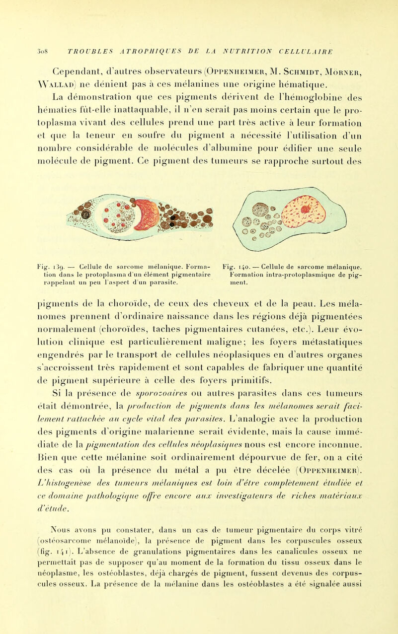 Cependant, d'autres observateurs (Oppenheimer, M. Schmidt, Môrner, VVallad) ne dénient pas à ces mélanines une origine héniatique. La démonstration que ces pigments dérivent de Thémoglobine des hématies lut-elle inattaquable, il n'en serait pas moins certain que le pro- toplasma vivant des cellules prend une part très active à leur formation et que la teneur en soufre du pigment a nécessité l'utilisation d'un nombre considérable de molécules d'albumine pour édifier une seule molécule de pigment. Ce pigment des tumeurs se rapproche surtout des Fig. i3(). — Cellule de sarcome mélanique. Forma- Fig. 140. — Cellule de sarcome mélanique. tion dans le protoplasma d'un clément piginentaire Formation intra-protoplasmique de pig- rappelnnt un peu l'aspect d'un parasite. ment. pigmenis de la choroïde, de ceux des cheveux et de la peau. Les méla- nomes prennent d'ordinaire naissance dans les régions déjà pigmentées normalement (choroïdes, taches pigmentaires cutanées, etc.). Leur évo- lution clinique est particulièrement maligne; les foyers métastatiques engendrés par le transport de cellules néoplasiques en d'autres organes s'accroissent très rapidement et sont capables de fabriquer une quantité de pigment supérieure à celle des foyers primitifs. Si la présence de sporozoaires ou autres parasites dans ces tumeurs était démontrée, la prodm lion de jjignienls dans les Diélanunies serait faci- lement ratttichèe an eijcle vital des parasites. L'analogie avec la production des pigments d'origine malarienne serait évidente, mais la cause immé- diate de la pigmentation des cellules néoplasiqaes nouH est encore inconnue. Bien que cette mélanine soit ordinairement dépourvue de fer, on a cité des cas oîi la présence du métal a ])u (Mre décelée (Oppenheimer). L'/tistogenèse des tumeurs melaniques est loin d'être complètement étudiée et ce domaine pathologiiiue offre encore aux in\'estigateurs de riclies matériaux d'étude. Nous avons pu constater, dans un cas de tumeur pigmentaire du corps vitré (ostéosarcomc iiiélanoïde), la présence de pigment dans les corpuscules osseux (fig. i4i)- L'absence de granulations pigmentaires dans les canalicules osseux ne permettait pas de supposer qu'au moment de la formation du tissu osseux dans le néoplasme, les ostéoblastes, di'jà chargés de pigment, fussent devenus des corpus- cules osseux. La présence de la mélanine dans les ostéoblastes a été signalée aussi