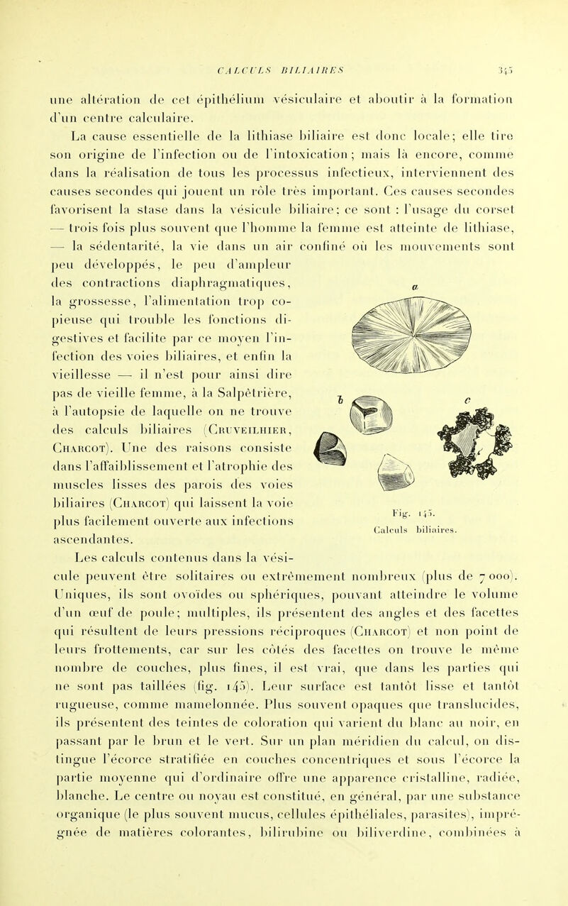une altération de cet épithéliuni vésiculaire et aljoutir à la formation d'un centre calculaire. La cause essentielle de la lithiase l)i]iaire est donc locale; elle tire son origine de l'infection ou de l'intoxication ; niais là encore, comme dans la réalisation de tous les processus infectieux, interviennent des causes secondes qui jouent un rôle très important. Ces causes secondes favorisent la stase dans la vésicule biliaire; ce sont : l'usage du corset — trois fois plus souvent que l'homme la femme est atteinte de lithiase, — la sédentarité, la vie dans un air confiné où les mouvements sont peu développés, le peu d'ampleur des contractions diaphragmatiques, la grossesse, l'alimentation trop co- pieuse qui trou])le les fonctions di- gestives et facilite par ce moyen l'in- fection des voies biliaires, et enfin la vieillesse — il n'est pour ainsi dire pas de vieille femme, à la Salpétrière, à l'autopsie de laquelle on ne trouve des calculs biliaires (Cruveilhier, Charcot). Une des raisons consiste dans l'affaiblissement et l'atrophie des muscles lisses des parois des voies biliaires (Charcot) qui laissent la voie plus facilement ouverte aux infections ascendantes. Les calculs contemis dans la vési- cule peuvent être solitaires ou extrêmement nombreux (plus de 7000). LIniques, ils sont ovoïdes ou sphériques, pouvant atteindre le volume d'un œuf de poule; nudtiples, ils présentent des angles et des facettes qui résultent de leurs pressions réciproques (Charcot) et non point de leurs frottements, car sur les côtés des facettes on trouve le même nombre de couches, plus fines, il est vrai, que dans les parties qui ne sont pas taillées (fig. i45). Leur surface est tantôt lisse et tantôt rugueuse, comme mamelonnée. Plus souvent opaques que translucides, ils présentent des teintes de coloration (|ui varient du blanc au noir, en passant par le brun et le vert. Sur un plan méridien du calcul, on dis- tingue l'écorce stratifiée en couches concentriques et sous l'écorce la ])artie moyenne qui d'ordinaire offre une aj)parence cristalline, radiée, blanche. Le centre ou noyau est constitué, en général, par une substance organique (le plus souvent mucus, cellules épithéliales, parasites), ini[)rê- gnée de matières colorantes, bilirubine ou biliverdine, coml)in('es à
