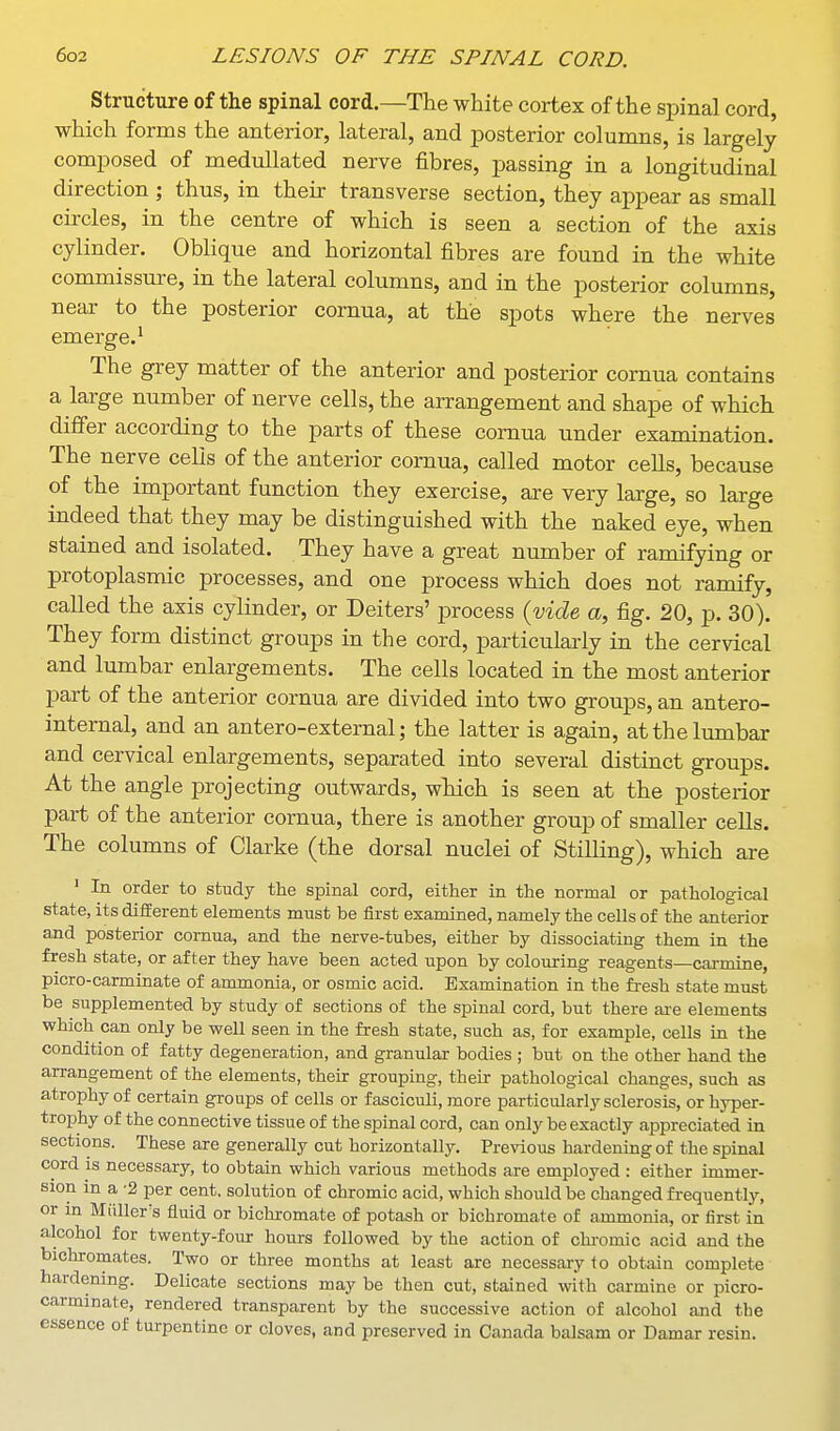 Structure of the spinal cord.—The white cortex of the spinal cord, which forms the anterior, lateral, and posterior columns, is largely composed of medullated nerve fibres, passing in a longitudinal direction ; thus, in their transverse section, they appear as small circles, in the centre of which is seen a section of the axis cylinder. Oblique and horizontal fibres are found in the white commissure, in the lateral columns, and in the posterior columns, near to the posterior cornua, at the spots where the nerves emerge.' The grey matter of the anterior and posterior cornua contains a large number of nerve cells, the arrangement and shape of which differ according to the parts of these cornua under examination. The nerve cells of the anterior cornua, called motor cells, because of the important function they exercise, are very large, so large indeed that they may be distinguished with the naked eye, when stained and isolated. They have a great number of ramifying or protoplasmic processes, and one process which does not ramify, called the axis cylinder, or Deiters' process {vide a, fig. 20, p. 30). They form distinct groups in the cord, particularly in the cervical and lumbar enlargements. The cells located in the most anterior part of the anterior cornua are divided into two groups, an antero- internal, and an antero-external; the latter is again, at the lumbar and cervical enlargements, separated into several distinct groups. At the angle projecting outwards, which is seen at the posterior part of the anterior cornua, there is another group of smaller cells. The columns of Clarke (the dorsal nuclei of Stilling), which are ' In order to study the spinal cord, either in the normal or pathological state, its different elements must be first examined, namely the cells of the anterior and posterior cornua, and the nerve-tubes, either by dissociating them in the fresh state, or after they have been acted upon by colouring reagents—carmine, picro-carminate of ammonia, or osmic acid. Examination in the fresh state must be supplemented by study of sections of the spinal cord, but there ai'e elements which can only be well seen in the fresh state, such as, for example, cells in the condition of fatty degeneration, and granular bodies ; but on the other hand the arrangement of the elements, their grouping, their pathological changes, such as atrophy of certain groups of cells or fasciculi, more particularly sclerosis, or hyper- trophy of the connective tissue of the spinal cord, can only be exactly appreciated in sections. These are generally cut horizontally. Previous hardening of the spinal cord is necessary, to obtain which various methods are employed : either immer- sion in a -2 per cent, solution of chromic acid, which should be changed frequently, or m Miiller's fluid or bichromate of potash or bichromate of ammonia, or first in alcohol for twenty-four hours followed by the action of clu-omic acid and the bichromates. Two or three months at least are necessary to obtain complete hardening. Delicate sections may be then cut, stained with carmine or picro- carminate, rendered transparent by the successive action of alcohol and the essence of turpentine or cloves, and preserved in Canada balsam or Damar resin.