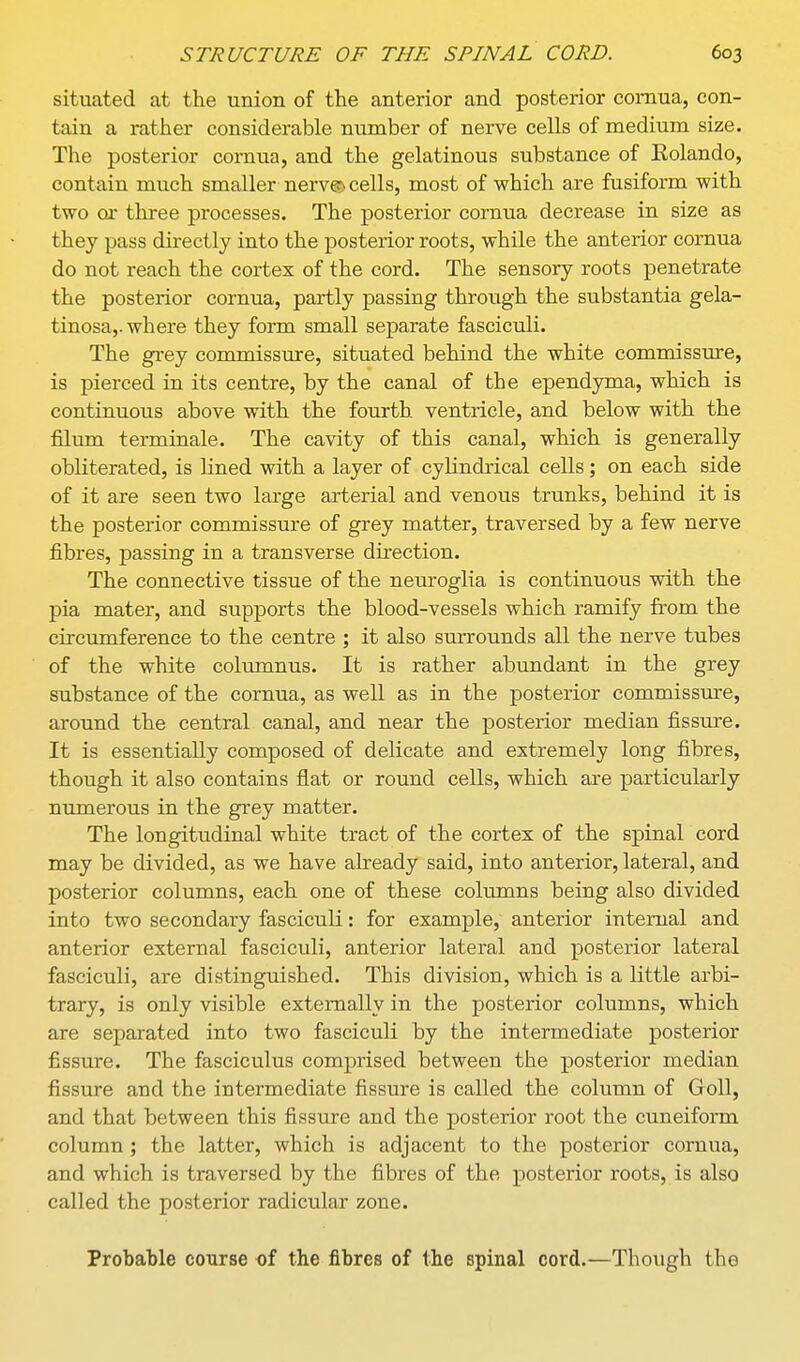 situated at the union of the anterior and posterior comua, con- tain a rather considerable number of nerve cells of medium size. The posterior comua, and the gelatinous substance of Eolando, contain much smaller nerv© cells, most of which are fusiform with two ox three processes. The posterior comua decrease in size as they pass directly into the posterior roots, while the anterior comua do not reach the cortex of the cord. The sensory roots penetrate the posterior comua, partly passing through the substantia gela- tinosa,. where they form small separate fasciculi. The grey commissure, situated behind the white commissiu-e, is pierced in its centre, by the canal of the ependyma, which is continuous above with the fourth ventricle, and below with the filum terminale. The cavity of this canal, which is generally obliterated, is lined with a layer of cylindrical cells; on each side of it are seen two large arterial and venous trunks, behind it is the posterior commissure of grey matter, traversed by a few nerve fibres, passing in a transverse direction. The connective tissue of the neuroglia is continuous with the pia mater, and supports the blood-vessels which ramify from the circumference to the centre ; it also surrounds all the nerve tubes of the white cohunnus. It is rather abundant in the grey substance of the comua, as well as in the posterior commisstue, around the central canal, and near the posterior median fissure. It is essentially composed of delicate and extremely long fibres, though it also contains flat or round cells, which are particularly numerous in the grey matter. The longitudinal white tract of the cortex of the spinal cord may be divided, as we have already said, into anterior, lateral, and posterior columns, each one of these columns being also divided into two secondary fasciculi: for example, anterior intemal and anterior external fasciculi, anterior lateral and posterior lateral fasciculi, are distinguished. This division, which is a little arbi- trary, is only visible extemally in the posterior columns, which are separated into two fasciculi by the intermediate posterior fissure. The fasciculus comprised between the posterior median fissure and the intermediate fissure is called the column of Goll, and that between this fissure and the posterior root the cuneiform column ; the latter, which is adjacent to the posterior cornua, and which is traversed by the fibres of the posterior roots, is also called the posterior radicular zone. Probable course of the fibres of the spinal cord.—Though the