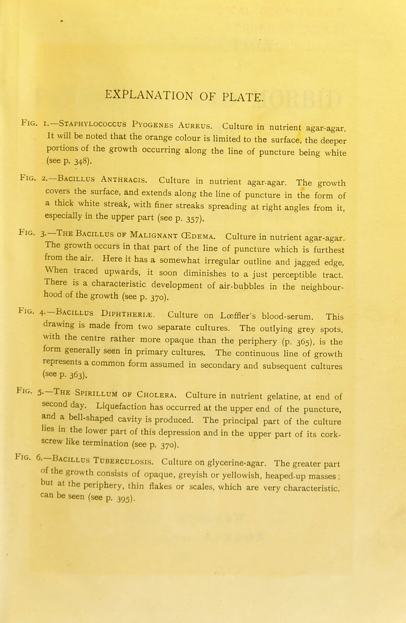 EXPLANATION OF PLATE. Fig. i.-Staphylococccs Pyogenes Aureus. Culture in nutrient agar-agar. It will be noted that the orange colour is limited to the surface, the deeper portions of the growth occurring along the line of puncture being white (see p. 348). Fig. 2.-Bacillus Anthracis. Culture in nutrient agar-agar. The growth covers the surface, and extends along the line of puncture in the form of a thick white streak, with Hner streaks spreading at right angles from it, especially in the upper part (see p. 357). Fig. 3.-THE Bacillus of Malignant CEdema. Culture in nutrient agar-agar. The growth occurs in that part of the line of puncture which is furthest from the air. Here it has a somewhat irregular outline and jagged edge. When traced upwards, it soon diminishes to a just perceptible tract. There is a characteristic development of air-bubbles in the neighbour- hood of the growth (see p. 370). Fig. 4.-BACILLUS D1PHTHER1.E. Culture on LcefQer's blood-serum. This drawing is made from two separate cultures. The outlying grey spots, with the centre rather more opaque than the periphery (p. 365), is the form generally seen in primary cultures. The continuous line of growth represents a common form assumed in secondary and subsequent cultures (see p. 363). Fig. 5.—The Spirillum of Cholera. Culture in nutrient gelatine, at end of second day. Liquefaction has occurred at the upper end of the puncture, and a bell-shaped cavity is produced. The principal part of the culture lies in the lower part of this depression and in the upper part of its cork- screw like termination (see p. 370). Fig. 6.—Bacillus Tuberculosis. Culture on glycerine-agar. The greater part of the growth consists of opaque, greyish or yellowish, heaped-up masses; but at the periphery, thin flakes or scales, which are very characteristic, can be seen (see p. 395).