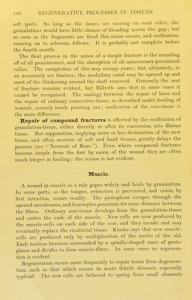 soft parts. So long as the bones are moving on each other, the granulations would have little-chance of blending across the gap; but so soon as the fragments are fixed this union occurs, and ossification, running on to sclerosis, follows. It is probably not complete before the fourth month. The final process in the union of a simple fracture is the rounding off of all prominences, and the absorption of all unnecessary provisional callus. The completion of this may occupy years ; but, ultimately, in an accurately set fracture, the medullary canal may be opened up and most of the thickening around the shaft removed. Generally the seat of fracture remains evident, but Billroth says that in some cases it cannot be recognised. The analogy between the repair of bone and the repair of ordinary connective-tissue, as described under healing of Avounds, scarcely needs pointing out; ossification of the scar-tissue is the main difference. Repair of compound fractures is effected by the ossification of granulation-tissue, either directly or after its conversion into fibrous tissue. But suppuration, implying more or less destruction of the new- tissue, and often necrosis of soft and hard tissues, greatly delays the process (see Necrosis of Bone). Even where compound fractures become simple from the first by union of the wound they are often much longer in healing: the reason is iiot evident. Muscle. A wound in muscle as a rule gapes widely and heals by granulation In some parts, as the tongue, retraction is prevented, and union, by first intention, occurs readily. The protoplasm escapes through the opened sarcolemma, and leucocytes penetrate for some distance between the fibres. Ordinary scar-tissue develops from the granulation-tissue and unites the ends of the muscle. New cells are now produced by the muscle-cells on each side of the scar, and they invade and may eventually replace the cicatricial tissue. Kraske says that new muscle- cells are produced only by multiplication of the nuclei of the old. Each nucleus becomes surrounded by a spindle-shaped mass of proto- plasm and divides to form muscle-fibres. In some cases no regenera- tion is evident. Regeneration occurs more frequently to repair losses from degenera- tion, such as that which occurs in acute febrile diseases, especially typhoid. The new cells are believed to spring from small elements