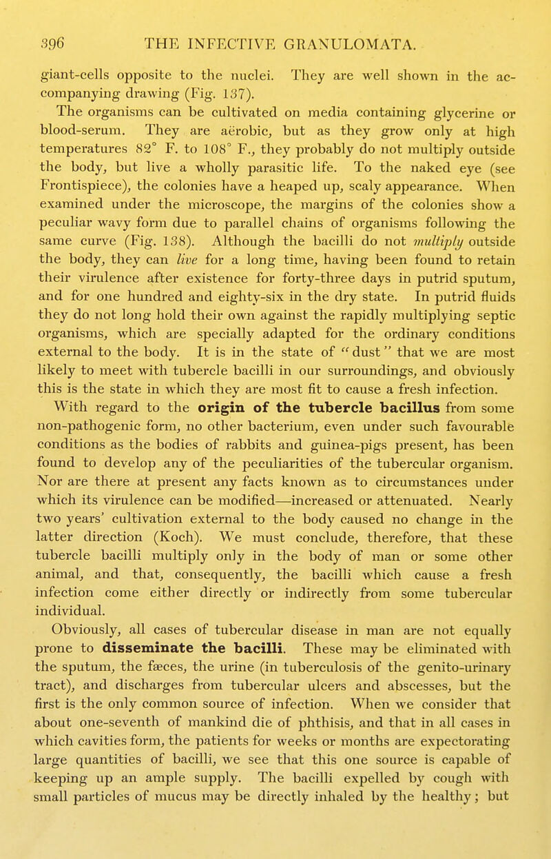 giant-cells opposite to the nuclei. They are well shown in the ac- companying drawing (Fig. 137). The organisms can be cultivated on media containing glycerine or blood-serum. They are aerobic, but as they grow only at high temperatures 82° F. to 108° F., they probably do not multiply outside the body, but live a wholly parasitic life. To the naked eye (see Frontispiece), the colonies have a heaped up, scaly appearance. When examined under the microscope, the margins of the colonies show a peculiar wavy form due to parallel chains of organisms following the same curve (Fig. 1.38). Although the bacilli do not multiply outside the body, they can live for a long time, having been found to retain their virulence after existence for forty-three days in putrid sputum, and for one hundred and eighty-six in the dry state. In putrid fluids they do not long hold their own against the rapidly multiplying septic organisms, which are specially adapted for the ordinaiy conditions external to the body. It is in the state of dust that we are most likely to meet with tubercle bacilli in our surroundings, and obviously this is the state in which they are most fit to cause a fresh infection. With regard to the origin of the tubercle bacillus from some non-pathogenic form, no other bacterium, even under such favourable conditions as the bodies of rabbits and guinea-pigs present, has been found to develop any of the peculiarities of the tubercular organism. Nor are there at present any facts known as to circumstances under which its virulence can be modified—increased or attenuated. Nearly two years' cultivation external to the body caused no change in the latter direction (Koch). We must conclude, therefore, that these tubercle bacilli multiply only in the body of man or some other animal, and that, consequently, the bacilli which cause a fresh infection come either directly or indirectly from some tubercular individual. Obviously, all cases of tubercular disease in man are not equally prone to disseminate the bacilli. These may be eliminated with the sputum, the faeces, the urine (in tuberculosis of the genito-urinary tract), and discharges from tubercular ulcers and abscesses, but the first is the only common source of infection. When we consider that about one-seventh of mankind die of phthisis, and that in all cases in which cavities form, the patients for weeks or months are expectorating large quantities of bacilli, we see that this one source is capable of keeping up an ample supply. The bacilli expelled by cough with small particles of mucus may be directly inhaled by the healthy; but