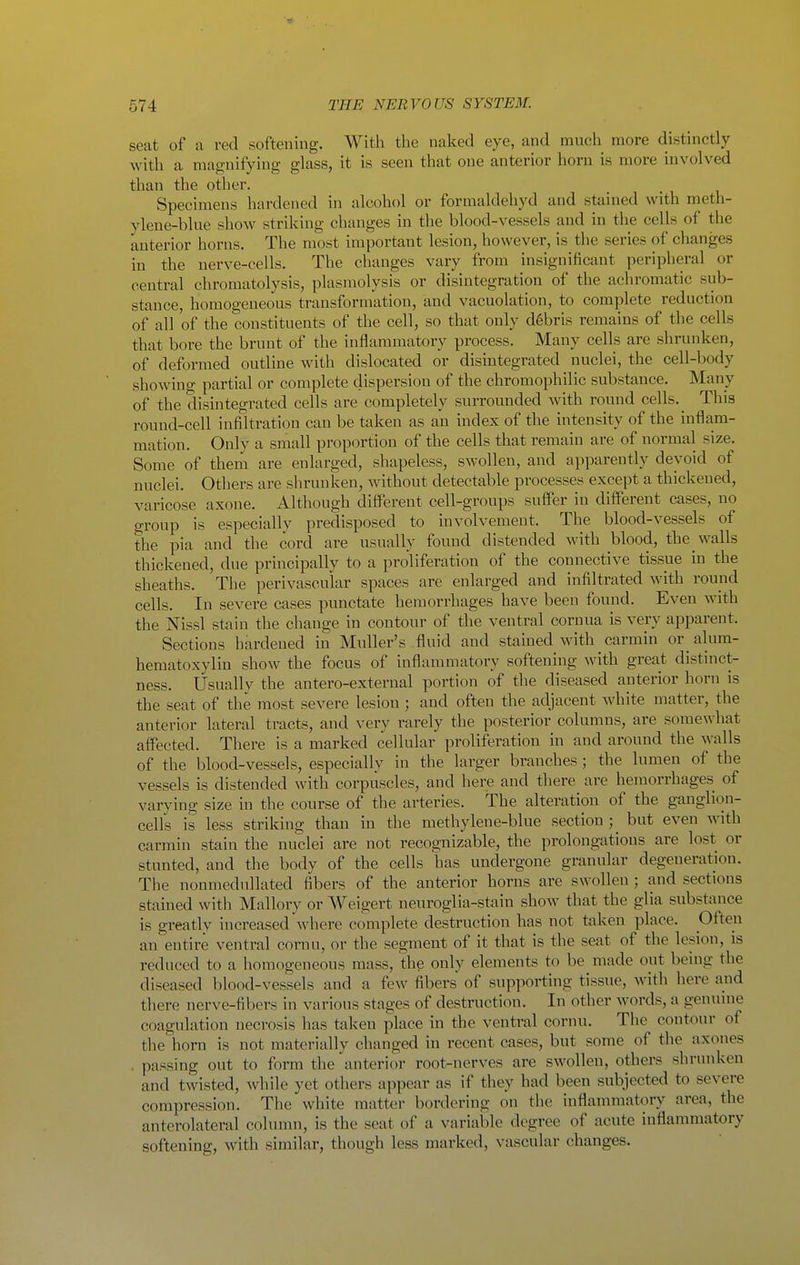 seat of a red softening. With the naked eye, and much more distinctly with a magnifying glass, it is seen that one anterior horn is more involved than the other. Specimens hardened in alcohol or formaldehyd and stained with meth- ylene-blue show striking changes in the blood-vessels and in the cells of the anterior horns. The most important lesion, however, is the series of changes in the nerve-cells. The changes vary from insignificant peripheral or central chromatolysis, plasmolysis or disintegration of the achromatic sub- stance, homogeneous transformation, and vacuolation, to complete reduction of all of the constituents of the cell, so that only debris remains of the cells that bore the brunt of the inflammatory process. Many cells are shrunken, of deformed outline with dislocated or disintegrated nuclei, the cell-body showino- partial or complete dispersion of the chromophilic substance. Many of the disintegrated cells are completely surrounded with round cells. _ This round-cell infiltration can be taken as an index of the intensity of the inflam- mation. Only a small proportion of the cells that remain are of normal size. Some of them are enlarged, shapeless, swollen, and apparently devoid of nuclei. Others are shrunken, without detectable processes except a thickened, varicose axone. Although different cell-groups suflFer in different cases, no group is especially predisposed to involvement. The blood-vessels of the pia and the cord are usually found distended with blood, the walls thickened, due principally to a proliferation of the connective tissue in the sheaths. The perivascular spaces are enlarged and infiltrated with round cells. In severe cases punctate hemorrhages have been found. Even with the Nissl stain the change in contour of the ventral cornua is very apparent. Sections hardened in Muller's fluid and stained with carmin or^ alum- hematoxylin show the focus of inflammatory softening with great distinct- ness. Usually the antero-external portion of the diseased anterior horn is the seat of the most severe lesion ; and often the adjacent white matter, the anterior lateral tracts, and very rarely the posterior columns, are somewhat affected. There is a marked cellular proliferation in and around the walls of the blood-vessels, especially in the larger branches ; the lumen of the vessels is distended with corpuscles, and here and there are hemorrhages of varying size in the course of the arteries. The alteration of the ganglion- cells is less striking than in the methylene-blue section but even with carmin stain the nuclei are not recognizable, the prolongations are lost or stunted, and the body of the cells has undergone granular degeneration. The nonmedullated fibers of the anterior horns are swollen ; and sections stained with Mallory or Weigert neuroglia-stain show that the glia substance is greatly increased where complete destruction has not taken place. Often an entire ventral cornu, or the segment of it that is the seat of the lesion, is reduced to a homogeneous mass, thg only elements to be made out being the diseased blood-vessels and a few fibers of supporting tissue, with here and there nerve-fibers in various stages of destruction. In other words, a genuine coagulation necrosis has taken place in the ventral cornu. The contour of the horn is not materially changed in recent cases, but some of the axones . passing out to form the anterior root-nerves are swollen, others shrunken and twisted, while yet others appear as if they had been subjected to severe compression. The white matter bordering on the inflammatory area, the anterolateral column, is the seat of a variable degree of acute inflammatory softening, with similar, though less marked, vascular changes.