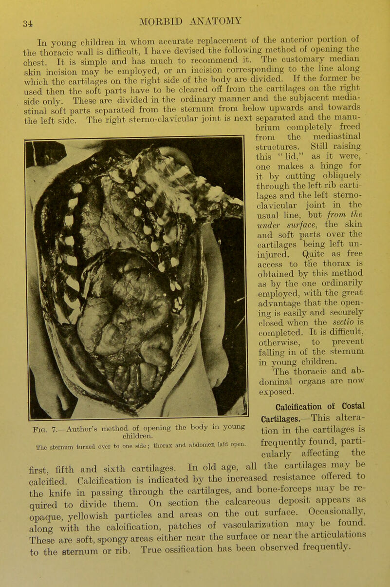 In young children in whom accurate replacement of the anterior portion of the thoracic wall is difficult, I have devised the following method of opening the chest. It is simple and has much to recommend it. The customary median skin incision may he employed, or an incision corresponding to the line along which the cartilages on the right side of the body are divided. If the former be used then the soft parts have to he cleared off from the cartilages on the right side only. These are divided in the ordinary manner and the subjacent media- stinal soft parts separated from the sternum from below upwards and toward, the left side. The right sterno-clavicular joint is next separated and the manu- brium completely freed from the mediastinal structures. Still raising this lid, as it were, one makes a hinge for it by cutting obliquely through the left rib carti- lages and the left sterno- clavicular joint in the usual line, but from the under surface, the skin and soft parts over the cartilages being left un- injured. Quite as free access to the thorax is obtained by this method as by the one ordinarily employed, with the great advantage that the open- ing is easily and securely- closed when the sectio is completed. It is difficult, otherwise, to prevent falling in of the sternum in young children. The thoracic and ab- dominal organs are now exposed. Calcification of Costal Cartilages.—This altera- tion in the cartilages is frequently found, parti- cularly affecting the first, fifth and sixth cartilages. In old age, aU the cartilages may be calcified. Calcification is indicated by the increased resistance offered to the knife in passing through the cartilages, and bone-forceps may be re- quired to divide them. On section the calcareous deposit appears as opaque, yeUowish particles and areas on the cut surface. Occasionally, along with the calcification, patches of vascularization may be found. These are soft, spongy areas either near the surface or near the articulations to the sternum or rib. True ossification has been observed frequently. Fig. 7.—Author's method of opening the body in young children. The sternum turned over to one side; thorax and abdomen laid open.