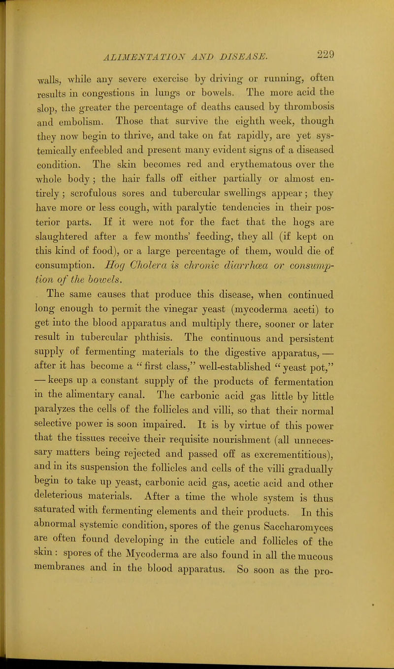 walls, Avhile any severe exercise by driving or running, often results in congestions in lungs or bowels. The more acid the slop, the greater the percentage of deaths caused by thrombosis and embolism. Those that survive the eighth week, though they now begin to thrive, and take on fat rapidly, are yet sys- temically enfeebled and present many evident signs of a diseased condition. The skin becomes red and erythematous over the whole body; the hair falls oJff either partially or almost en- tu'ely; scrofulous sores and tubercular swellings appear; they have more or less cough, with paralytic tendencies in their pos- terior parts. If it were not for the fact that the hogs are slaughtered after a few months' feeding, they all (if kept on this kind of food), or a large percentage of them, would die of consumption. Hog Cholera is chronic diarrhcea or conswn2> tion of the boioels. The same causes that produce this disease, when continued long enough to permit the vinegar yeast (mycoderma aceti) to get into the blood apparatus and multiply there, sooner or later result in tubercular phthisis. The continuous and persistent supply of fermenting materials to the digestive apparatus,— after it has become a first class, well-established yeast pot, — keeps up a constant supply of the products of fermentation in the ahmentary canal. The carbonic acid gas little by little paralyzes the cells of the follicles and villi, so that their normal selective power is soon impaired. It is by virtue of this power that the tissues receive their requisite nourishment (all unneces- sary matters being rejected and passed off as excrementitious), and in its suspension the f olHcles and cells of the villi gradually begm to take up yeast, carbonic acid gas, acetic acid and other deleterious materials. After a time the whole system is thus saturated with fermenting elements and their products. In this abnormal systemic condition, spores of the genus Saccharomyces are often found developing in the cuticle and follicles of the skin: spores of the Mycoderma are also found in all the mucous membranes and in the blood apparatus. So soon as the pro-