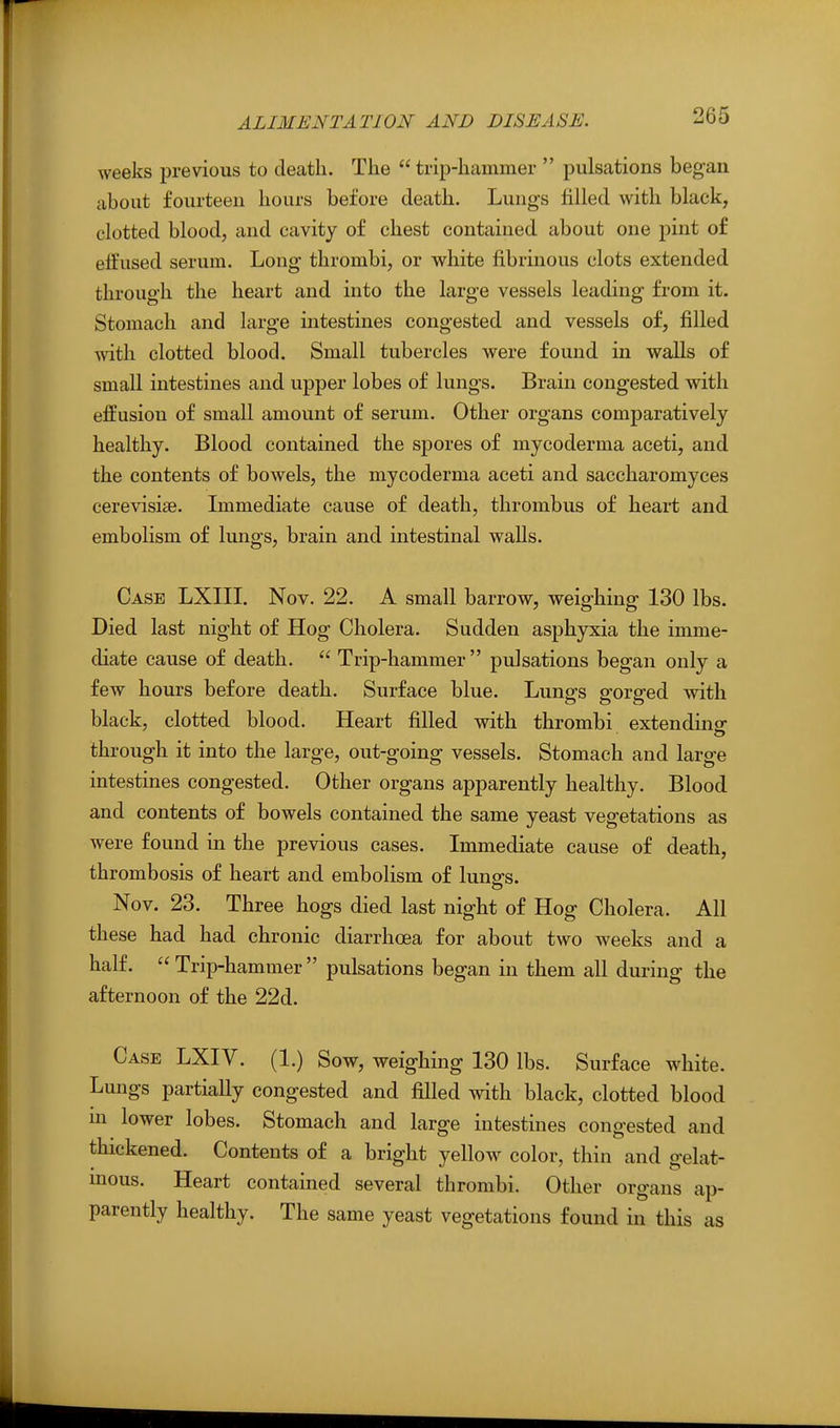 weeks previous to death. The  trip-hammer  pulsations began about fourteen hours before death. Lungs filled with black, clotted blood, and cavity of chest contained about one pint of eifused serum. Long thrombi, or white fibrinous clots extended through the heart and into the large vessels leading from it. Stomach and large intestines congested and vessels of, filled with clotted blood. Small tubercles were found in walls of small intestines and upper lobes of lungs. Brain congested with effusion of small amount of serum. Other organs comparatively healthy. Blood contained the spores of mycoderma aceti, and the contents of bowels, the mycoderma aceti and saccharomyces cerevisise. Immediate cause of death, thrombus of heart and embolism of lungs, brain and intestinal walls. Case LXIII. Nov. 22. A small barrow, weighing 130 lbs. Died last night of Hog Cholera. Sudden asphyxia the imme- diate cause of death.  Trip-hammer pulsations began only a few hours before death. Surface blue. Lungs gorged with black, clotted blood. Heart filled with thrombi extending through it into the large, out-going vessels. Stomach and large intestines congested. Other organs apparently healthy. Blood and contents of bowels contained the same yeast vegetations as were found in the previous cases. Immediate cause of death, thrombosis of heart and embolism of lungs. Nov. 23. Three hogs died last night of Hog Cholera. All these had had chronic diarrhoea for about two weeks and a half.  Trip-hammer  pulsations began in them all during the afternoon of the 22d. Case LXIV. (1.) Sow, weighing 130 lbs. Surface white. Lungs partially congested and filled with black, clotted blood m lower lobes. Stomach and large intestines congested and thickened. Contents of a bright yellow color, thin and gelat- nious. Heart contained several thrombi. Other organs ap- parently healthy. The same yeast vegetations found in this as