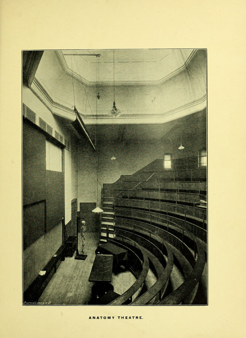 ANATOMY THEATRE.