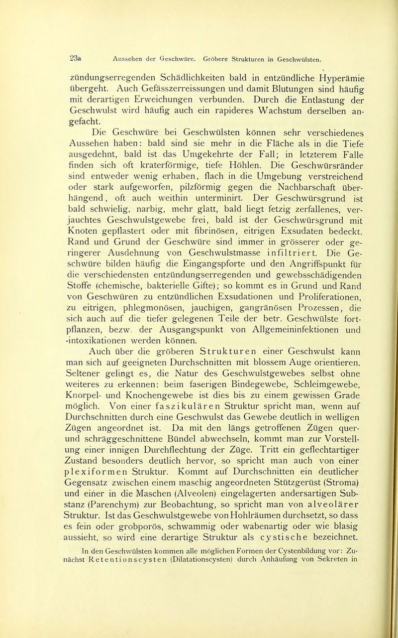23a Aussehen der Geschwüre. Gröbere Strukturen in Geschwülsten. zündungserregenden Schädlichkeiten bald in entzündliche Hyperämie übergeht. Auch Gefässzerreissungen und damit Blutungen sind häufig mit derartigen Erweichungen verbunden. Durch die Entlastung der Geschwulst wird häufig auch ein rapideres Wachstum derselben an- gefacht. Die Geschwüre bei Geschwülsten können sehr verschiedenes Aussehen haben: bald sind sie mehr in die Fläche als in die Tiefe ausgedehnt, bald ist das Umgekehrte der Fall; in letzterem Falle finden sich oft kraterförmige, tiefe Höhlen. Die Geschwürsränder sind entweder wenig erhaben, flach in die Umgebung verstreichend oder stark aufgeworfen, pilzförmig gegen die Nachbarschaft über- hängend , oft auch weithin unterminirt. Der Geschwürsgrund ist bald schwielig, narbig, mehr glatt, bald liegt fetzig zerfallenes, ver- jauchtes Geschwulstgewebe frei, bald ist der Geschwürsgrund mit Knoten gepflastert oder mit fibrinösen, eitrigen Exsudaten bedeckt. Rand und Grund der Geschwüre sind immer in grösserer oder ge- ringerer Ausdehnung von Geschwulstmasse infiltriert. Die Ge- schwüre bilden häufig die Eingangspforte und den Angriffspunkt für die verschiedensten entzündungserregenden und gewebsschädigenden Stoffe (chemische, bakterielle Gifte); so kommt es in Grund und Rand von Geschwüren zu entzündlichen Exsudationen und Proliferationen, zu eitrigen, phlegmonösen, jauchigen, gangränösen Prozessen, die sich auch auf die tiefer gelegenen Teile der betr. Geschwülste fort- pflanzen, bezw. der Ausgangspunkt von Allgemeininfektionen und -intoxikationen werden können. Auch über die gröberen Strukturen einer Geschwulst kann man sich auf geeigneten Durchschnitten mit blossem Auge orientieren. Seltener gelingt es, die Natur des Geschwulstgewebes selbst ohne weiteres zu erkennen: beim faserigen Bindegewebe, Schleimgewebe, Knorpel- und Knochengewebe ist dies bis zu einem gewissen Grade möglich. Von einer faszikulären Struktur spricht man, wenn auf Durchschnitten durch eine Geschwulst das Gewebe deutlich in welligen Zügen angeordnet ist. Da mit den längs getroffenen Zügen quer- und schräggeschnittene Bündel abwechseln, kommt man zur Vorstell- ung einer innigen Durchflechtung der Züge. Tritt ein geflechtartiger Zustand besonders deutlich hervor, so spricht man auch von einer plexiformen Struktur. Kommt auf Durchschnitten ein deutlicher Gegensatz zwischen einem maschig angeordneten Stützgerüst (Stroma) und einer in die Maschen (Alveolen) eingelagerten andersartigen Sub- stanz (Parenchym) zur Beobachtung, so spricht man von alveolärer Struktur. Ist das Geschwulstgewebe von Hohlräumen durchsetzt, so dass es fein oder grobporös, schwammig oder wabenartig oder wie blasig aussieht, so wird eine derartige Struktur als cystische bezeichnet. In den Geschwülsten kommen alle möglichen Formen der Cystenbildung vor: Zu- nächst Retentionscysten (Dilatationscysten) durch Anhäufung von Sekreten in