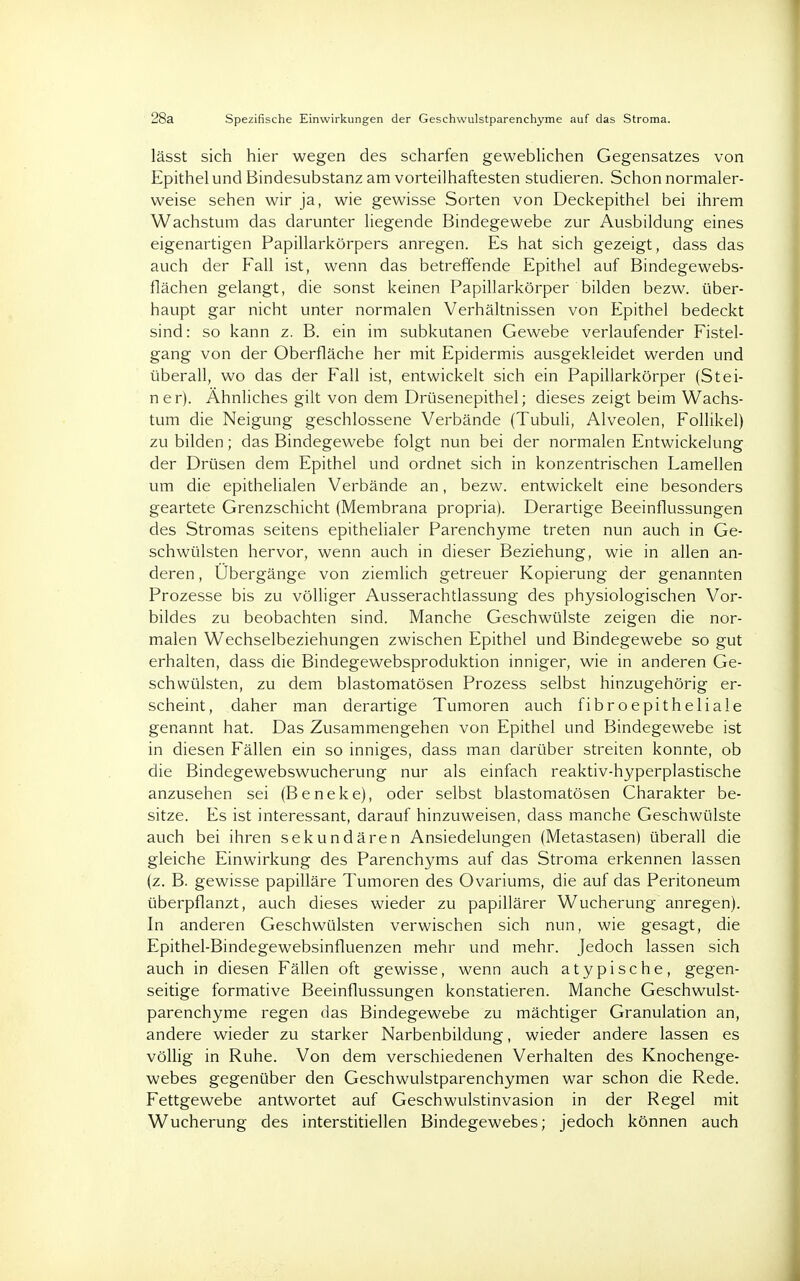 28a Spezifische Einwirkungen der Geschwulstparenchyme auf das Stroma. lässt sich hier wegen des scharfen geweblichen Gegensatzes von Epithel und Bindesubstanz am vorteilhaftesten studieren. Schon normaler- weise sehen wir ja, wie gewisse Sorten von Deckepithel bei ihrem Wachstum das darunter liegende Bindegewebe zur Ausbildung eines eigenartigen Papillarkörpers anregen. Es hat sich gezeigt, dass das auch der Fall ist, wenn das betreffende Epithel auf Bindegewebs- flächen gelangt, die sonst keinen Papillarkörper bilden bezw. über- haupt gar nicht unter normalen Verhältnissen von Epithel bedeckt sind: so kann z. B. ein im subkutanen Gewebe verlaufender Fistel- gang von der Oberfläche her mit Epidermis ausgekleidet werden und überall, wo das der Fall ist, entwickelt sich ein Papillarkörper (Stei- ner). Ähnliches gilt von dem Drüsenepithel; dieses zeigt beim Wachs- tum die Neigung geschlossene Verbände (Tubuli, Alveolen, Follikel) zu bilden; das Bindegewebe folgt nun bei der normalen Entwickelung der Drüsen dem Epithel und ordnet sich in konzentrischen Lamellen um die epithelialen Verbände an, bezw. entwickelt eine besonders geartete Grenzschicht (Membrana propria). Derartige Beeinflussungen des Stromas seitens epithelialer Parenchyme treten nun auch in Ge- schwülsten hervor, wenn auch in dieser Beziehung, wie in allen an- deren , Ubergänge von ziemlich getreuer Kopierung der genannten Prozesse bis zu völliger Ausserachtlassung des physiologischen Vor- bildes zu beobachten sind. Manche Geschwülste zeigen die nor- malen Wechselbeziehungen zwischen Epithel und Bindegewebe so gut erhalten, dass die Bindegewebsproduktion inniger, wie in anderen Ge- schwülsten, zu dem blastomatösen Prozess selbst hinzugehörig er- scheint, daher man derartige Tumoren auch fibroepitheliale genannt hat. Das Zusammengehen von Epithel und Bindegewebe ist in diesen Fällen ein so inniges, dass man darüber streiten konnte, ob die Bindegewebswucherung nur als einfach reaktiv-hyperplastische anzusehen sei (Beneke), oder selbst blastomatösen Charakter be- sitze. Es ist interessant, darauf hinzuweisen, dass manche Geschwülste auch bei ihren sekundären Ansiedelungen (Metastasen) überall die gleiche Einwirkung des Parenchyms auf das Stroma erkennen lassen (z. B. gewisse papilläre Tumoren des Ovariums, die auf das Peritoneum überpflanzt, auch dieses wieder zu papillärer Wucherung anregen). In anderen Geschwülsten verwischen sich nun, wie gesagt, die Epithel-Bindegewebsinfluenzen mehr und mehr. Jedoch lassen sich auch in diesen Fällen oft gewisse, wenn auch atypische, gegen- seitige formative Beeinflussungen konstatieren. Manche Geschwulst- parenchyme regen das Bindegewebe zu mächtiger Granulation an, andere wieder zu starker Narbenbildung, wieder andere lassen es völlig in Ruhe. Von dem verschiedenen Verhalten des Knochenge- webes gegenüber den Geschwulstparenchymen war schon die Rede. Fettgewebe antwortet auf Geschwulstinvasion in der Regel mit Wucherung des interstitiellen Bindegewebes; jedoch können auch