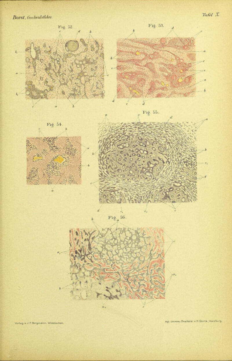 Boi'Sl, (resdamlstlehre. Fig. 52. .d i Fiö. 53. Ii-' Fiö. 55. b Fiö. 54. n ' //?</ W  /',/' >\> ^< Fiö. 56. .Mi