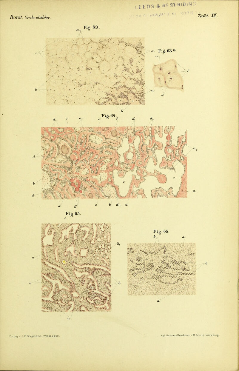 Borst, (resrlm vlstlehiv. Yif> ■ 63. il.OS A<vn STRIO.N Tafel M. co Fig.63^ <i,j Tiö.ö'i. 6 v •V*V.-> V;-..-Wv.'v. ' - - *• W «f- : >^V-'r ■ jSt-:1 Fig. 66. 6- 6,