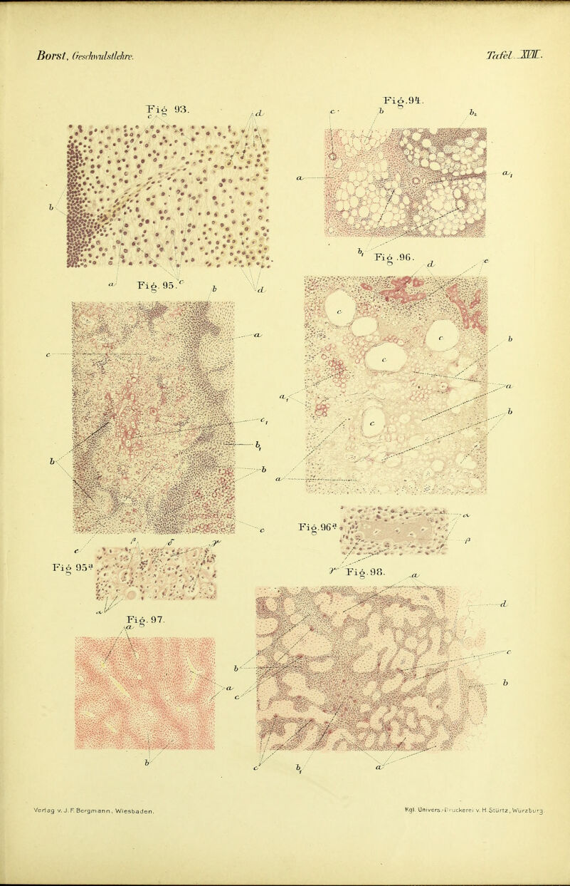 Fi£ 93. Fi<S.9i. ' FiA .96. cb <^ Fi6.95. o - - &<' ' :- :. -■' '■ ■ •. ' • •'. • • • Fiö 95? • -A -v, :y/*.'. . • / • „ Fi£. 97. inj ö GW**; • 0 r .^#S^^p^ 2f FiÖ.96? » r Fio.!)ü. b.