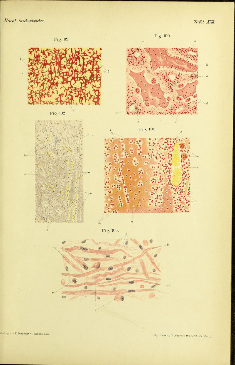 Bors/, Geschmdstlehre. Fiö. 100.