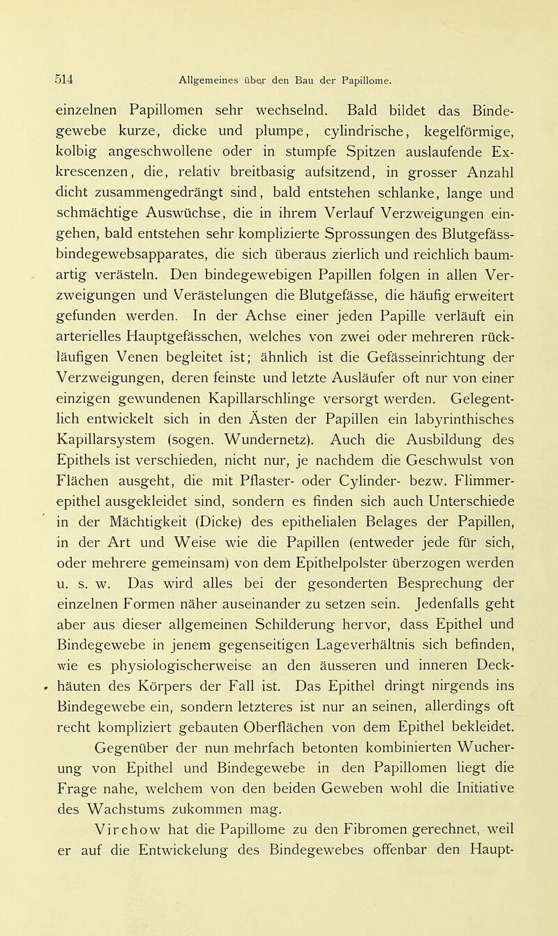 einzelnen Papillomen sehr wechselnd. Bald bildet das Binde- gewebe kurze, dicke und plumpe, cylindrische, kegelförmige, kolbig angeschwollene oder in stumpfe Spitzen auslaufende Ex- krescenzen, die, relativ breitbasig aufsitzend, in grosser Anzahl dicht zusammengedrängt sind, bald entstehen schlanke, lange und schmächtige Auswüchse, die in ihrem Verlauf Verzweigungen ein- gehen, bald entstehen sehr komplizierte Sprossungen des Blutgefäss- bindegewebsapparates, die sich überaus zierlich und reichlich baum- artig verästeln. Den bindegewebigen Papillen folgen in allen Ver- zweigungen und Verästelungen die Blutgefässe, die häufig erweitert gefunden werden. In der Achse einer jeden Papille verläuft ein arterielles Hauptgefässchen, welches von zwei oder mehreren rück- läufigen Venen begleitet ist; ähnlich ist die Gefässeinrichtung der Verzweigungen, deren feinste und letzte Ausläufer oft nur von einer einzigen gewundenen Kapillarschlinge versorgt werden. Gelegent- lich entwickelt sich in den Ästen der Papillen ein labyrinthisches Kapillarsystem (sogen. Wundernetz). Auch die Ausbildung des Epithels ist verschieden, nicht nur, je nachdem die Geschwulst von Flächen ausgeht, die mit Pflaster- oder Cylinder- bezw. Flimmer- epithel ausgekleidet sind, sondern es finden sich auch Unterschiede in der Mächtigkeit (Dicke) des epithelialen Belages der Papillen, in der Art und Weise wie die Papillen (entweder jede für sich, oder mehrere gemeinsam) von dem Epithelpolster überzogen werden u. s. w. Das wird alles bei der gesonderten Besprechung der einzelnen Formen näher auseinander zu setzen sein. Jedenfalls geht aber aus dieser allgemeinen Schilderung hervor, dass Epithel und Bindegewebe in jenem gegenseitigen Lageverhältnis sich befinden, wie es physiologischerweise an den äusseren und inneren Deck- . häuten des Körpers der Fall ist. Das Epithel dringt nirgends ins Bindegewebe ein, sondern letzteres ist nur an seinen, allerdings oft recht kompliziert gebauten Oberflächen von dem Epithel bekleidet. Gegenüber der nun mehrfach betonten kombinierten Wucher- ung von Epithel und Bindegewebe in den Papillomen hegt die Frage nahe, welchem von den beiden Geweben wohl die Initiative des Wachstums zukommen mag. Virchow hat die Papillome zu den Fibromen gerechnet, weil er auf die Entwicklung des Bindegewebes offenbar den Haupt-