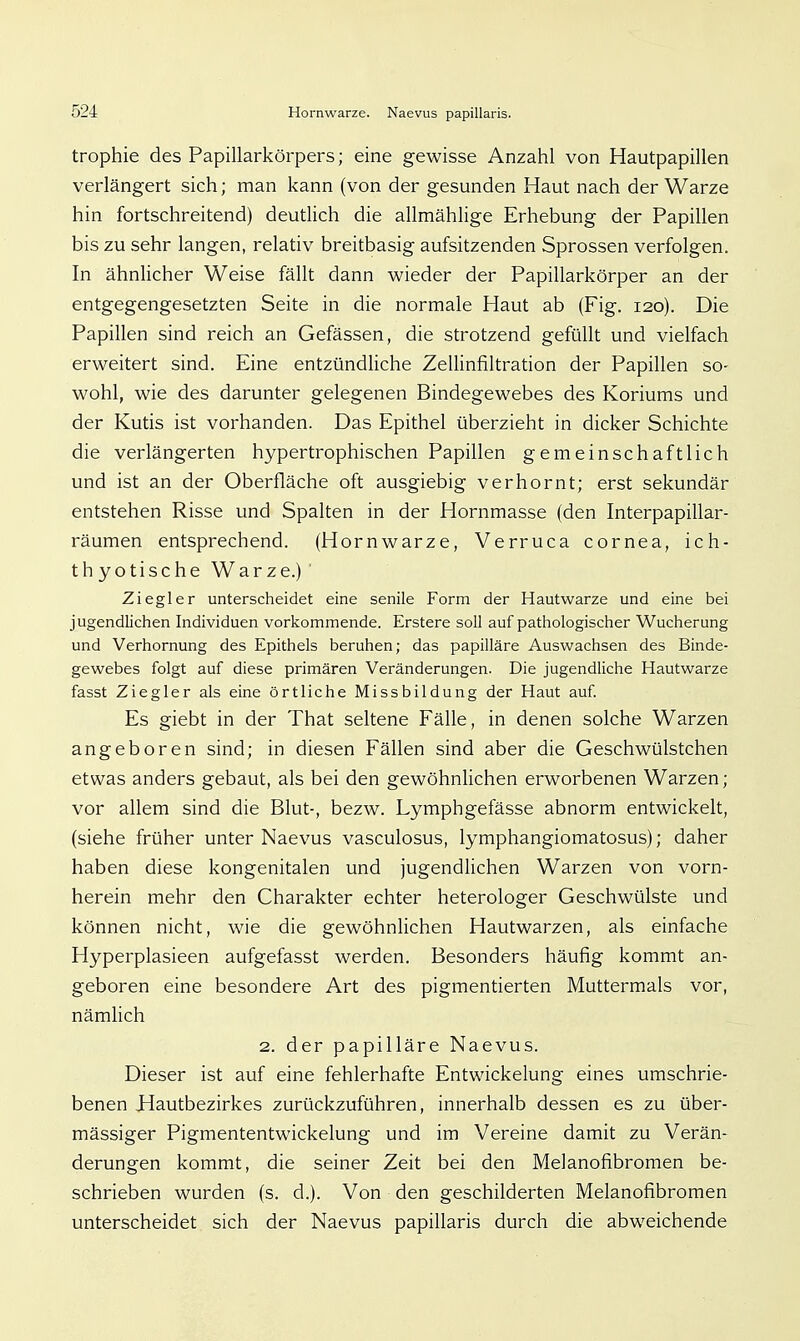 trophie des Papillarkörpers; eine gewisse Anzahl von Hautpapillen verlängert sich; man kann (von der gesunden Haut nach der Warze hin fortschreitend) deutlich die allmählige Erhebung der Papillen bis zu sehr langen, relativ breitbasig aufsitzenden Sprossen verfolgen. In ähnlicher Weise fällt dann wieder der Papillarkörper an der entgegengesetzten Seite in die normale Haut ab (Fig. 120). Die Papillen sind reich an Gefässen, die strotzend gefüllt und vielfach erweitert sind. Eine entzündliche Zellinfiltration der Papillen so- wohl, wie des darunter gelegenen Bindegewebes des Koriums und der Kutis ist vorhanden. Das Epithel überzieht in dicker Schichte die verlängerten hypertrophischen Papillen gemeinschaftlich und ist an der Oberfläche oft ausgiebig verhornt; erst sekundär entstehen Risse und Spalten in der Hornmasse (den Interpapillar- räumen entsprechend. (Hornwarze, Verruca cornea, ich- thyotische Warze.)' Ziegler unterscheidet eine senile Form der Hautwarze und eine bei jugendlichen Individuen vorkommende. Erstere soll auf pathologischer Wucherung und Verhornung des Epithels beruhen; das papilläre Auswachsen des Binde- gewebes folgt auf diese primären Veränderungen. Die jugendliche Hautwarze fasst Ziegler als eine örtliche Missbildung der Haut auf. Es giebt in der That seltene Fälle, in denen solche Warzen angeboren sind; in diesen Fällen sind aber die Geschwülstchen etwas anders gebaut, als bei den gewöhnlichen erworbenen Warzen; vor allem sind die Blut-, bezw. Lymphgefässe abnorm entwickelt, (siehe früher unter Naevus vasculosus, lymphangiomatosus); daher haben diese kongenitalen und jugendlichen Warzen von vorn- herein mehr den Charakter echter heterologer Geschwülste und können nicht, wie die gewöhnlichen Hautwarzen, als einfache Hyperplasieen aufgefasst werden. Besonders häufig kommt an- geboren eine besondere Art des pigmentierten Muttermals vor, nämhch 2. der papilläre Naevus. Dieser ist auf eine fehlerhafte Entwickelung eines umschrie- benen Hautbezirkes zurückzuführen, innerhalb dessen es zu über- mässiger Pigmententwickelung und im Vereine damit zu Verän- derungen kommt, die seiner Zeit bei den Melanofibromen be- schrieben wurden (s. d.). Von den geschilderten Melanofibromen unterscheidet sich der Naevus papillaris durch die abweichende