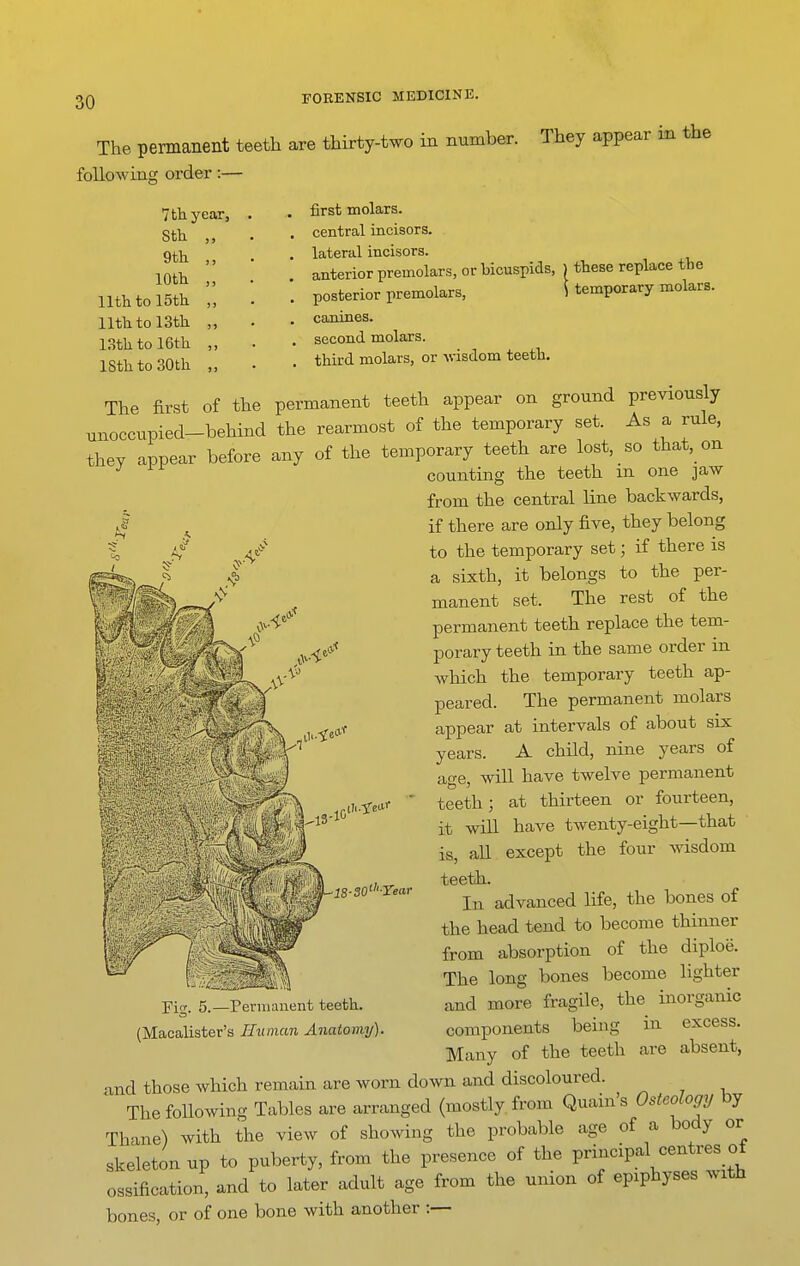 The permanent teeth are thirty-two in number. They appear in the following order:— 7tli year, Stli 9th lOtli 11th to 15th 11th to 13th LSth to 16th ISth to 30th first molars, central incisors, lateral incisors. anterior premolars, or bicuspids, ) these replace the posterior premolars, \ temporary molars, canines, second molars. third molars, or -wisdom teeth. The first of the permanent teeth appear on ground previously unoccupied-behind the rearmost of the temporary set. As a rule, they appear before any of the temporary teeth are lost, so that,_on ^ counting the teeth m one jaw from the central line backwards, ^ ^ if there are only five, they belong to the temporary set; if there is a sixth, it belongs to the per- manent set. The rest of the permanent teeth replace the tem- porary teeth in the same order in Avhich the temporary teeth ap- peared. The permanent molars appear at intervals of about six years. A child, nine years of age, will have twelve permanent teeth; at thirteen or fourteen, it will have twenty-eight—that is, all except the four wisdom teeth. In advanced life, the bones of the head tend to become thinner from absorption of the diploe. The long bones become lighter and more fragile, the inorganic components being in excess. Many of the teeth are absent, and those which remain are worn down and discoloured. The following Tables are arranged (mostly, from Quauis Osteologi/ by Thane) with the view of showing the probable age of a body or skeleton up to puberty, from the presence of the principal centres of ossification, and to later adult age from the union of epiphyses with bones, or of one bone with another :— Pig. 5.—Permanent teeth. (Macalister's Human Anatomy).