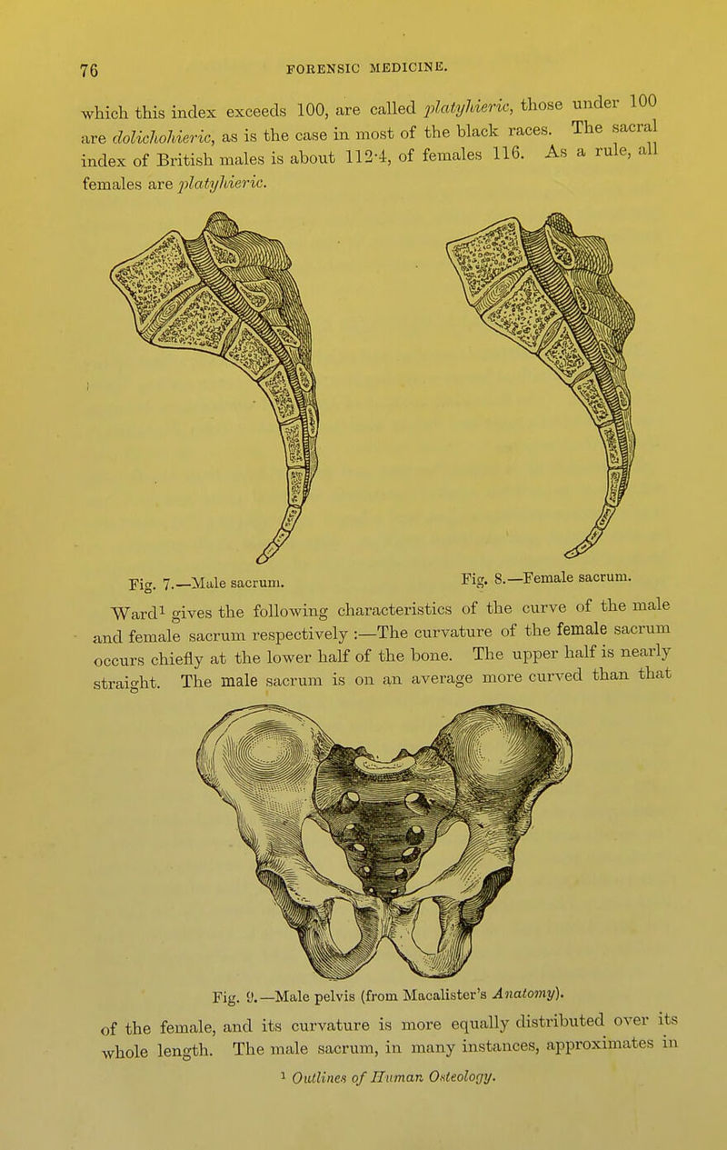 which this index exceeds 100, are called platyUeric, those under 100 are dolichoJderic, as is the case in most of the black races. The sacral index of British males is about 1124, of females 116. As a rule, all females are 2jlatyhieric. Fior, 7.—Male sacrum. Yicr. 8.—Female sacrum. Wardi gives the following characteristics of the curve of the male and female sacrum respectively :—The curvature of the female sacrum occurs chiefly at the lower half of the bone. The upper half is nearly The male sacrum is on an average more curved than that straight Fig. D.—Male pelvis {from Macalister's Anatomy). of the female, and its curvature is more equally distributed over its whole length. The male sacrum, in many instances, approximates in 1 OiUUne.i of Human Osteologi/.