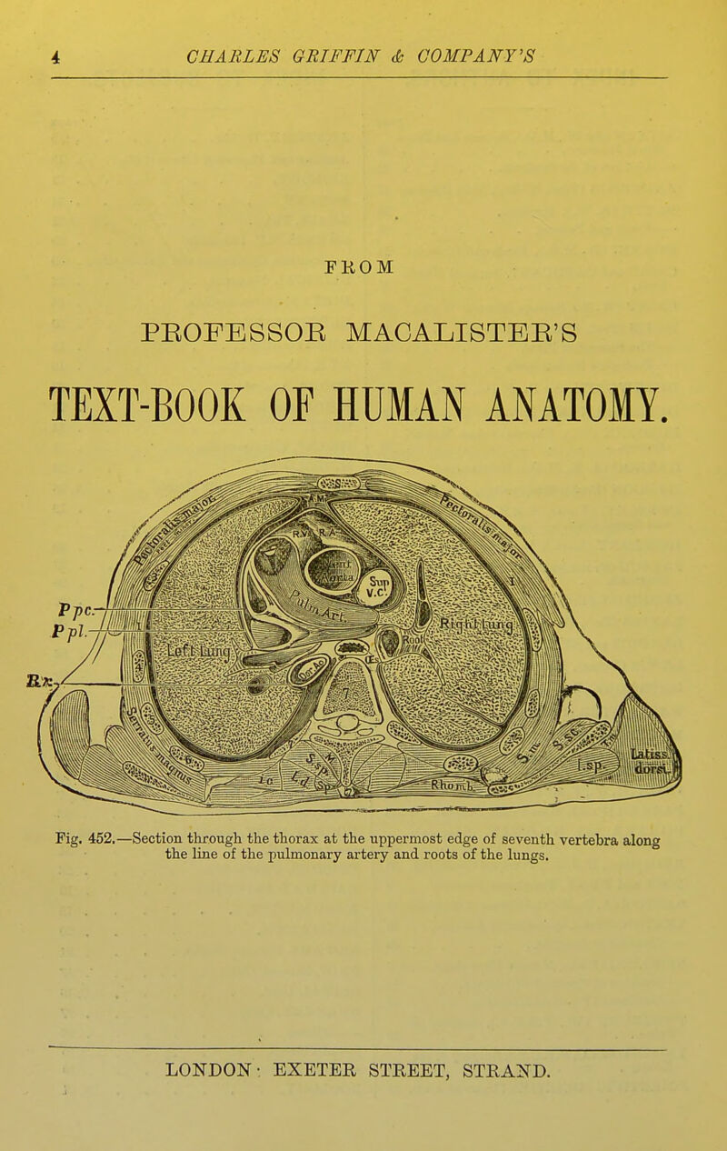 FHOM PEOFESSOK MACALISTBE'S TEXT-BOOK OF HUMAN ANATOMY. Fig. 452,—Section through the thorax at the uppermost edge of seventh vertebra along the line of the pulmonary artery and roots of the lungs.