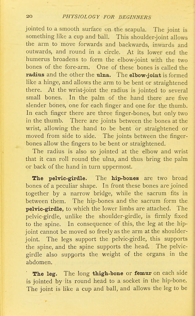jointed to a smooth surface on the scapula. The joint is something like a cup and ball. This shoulder-joint allows the arm to move forwards and backwards, inwards and outwards, and round in a circle. At its lower end the humerus broadens to form the elbow-joint with the two bones of the fore-arm. One of these bones is called the radius and the other the ulna. The elbow-joint is formed like a hinge, and allows the arm to be bent or straightened there. At the wrist-joint the radius is jointed to several small bones. In the palm of the hand there are five slender bones, one for each finger and one for the thumb. In each finger there are three finger-bones, but only two in the thumb. There are joints between the bones at the wrist, allowing the hand to be bent or straightened or moved from side to side. The joints between the finger- bones allow the fingers to be bent or straightened. The radius is also so jointed at the elbow and wrist that it can roll round the ulna, and thus bring the palm or back of the hand in turn uppermost. The pelvic-girdle. The hip-bones are two broad bones of a peculiar shape. In front these bones are joined together by a narrow bridge, while the sacrum fits in between them. The hip-bones and the sacrum form the pelvic-girdle, to which the lower limbs are attached. The pelvic-girdle, unlike the shoulder-girdle, is firmly fixed to the spine. In consequence of this, the leg at the hip- joint cannot be moved so freely as the arm at the shoulder- joint. The legs support the pelvic-girdle, this supports the spine, and the spine supports the head. The pelvic- girdle also supports the weight of the organs in the abdomen. The leg. The long thigh-bone or femur on each side is jointed by its round head to a socket in the hip-bone. The joint is like a cup and' ball, and allows the leg to be