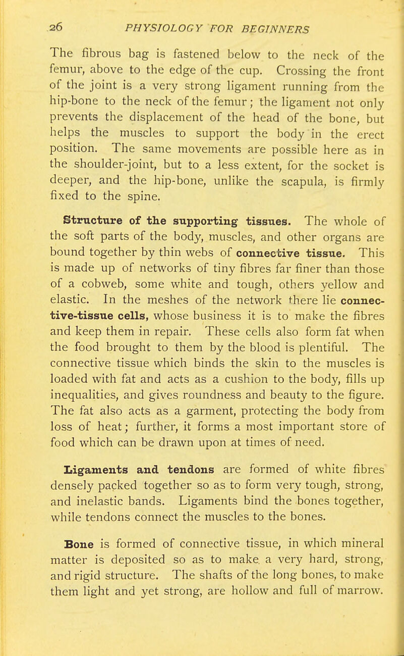 The fibrous bag is fastened below to the neck of the femur, above to the edge of the cup. Crossing the front of the joint is a very strong ligament running from the hip-bone to the neck of the femur; the ligament not only prevents the displacement of the head of the bone, but helps the muscles to support the body in the erect position. The same movements are possible here as in the shoulder-joint, but to a less extent, for the socket is deeper, and the hip-bone, unlike the scapula, is firmly fixed to the spine. Structure of the supporting tissues. The whole of the soft parts of the body, muscles, and other organs are bound together by thin webs of connective tissue. This is made up of networks of tiny fibres far finer than those of a cobweb, some white and tough, others yellow and elastic. In the meshes of the network there lie connec- tive-tissue cells, whose business it is to make the fibres and keep them in repair. These cells also form fat when the food brought to them by the blood is plentiful. The connective tissue which binds the skin to the muscles is loaded with fat and acts as a cushion to the body, fills up inequalities, and gives roundness and beauty to the figure. The fat also acts as a garment, protecting the body from loss of heat; further, it forms a most important store of food which can be drawn upon at times of need. Ligaments and tendons are formed of white fibres densely packed together so as to form very tough, strong, and inelastic bands. Ligaments bind the bones together, while tendons connect the muscles to the bones. Bone is formed of connective tissue, in which mineral matter is deposited so as to make, a very hard, strong, and rigid structure. The shafts of the long bones, to make them light and yet strong, are hollow and full of marrow.