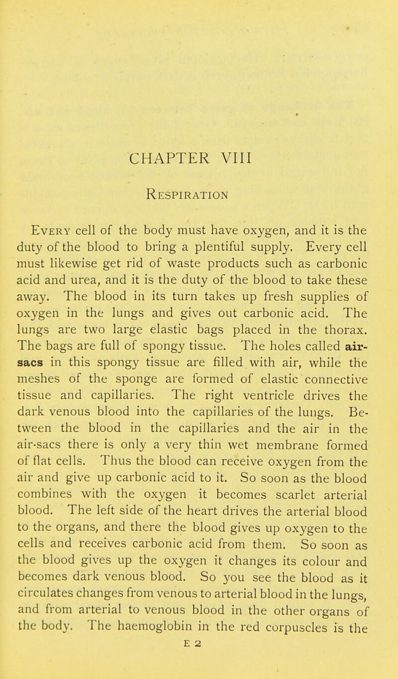 I CHAPTER VIII Respiration Every cell of the body must have oxygen, and it is the duty of the blood to bring a plentiful supply. Every cell must likewise get rid of waste products such as carbonic acid and urea, and it is the duty of the blood to take these away. The blood in its turn takes up fresh supplies of oxygen in the lungs and gives out carbonic acid. The lungs are two large elastic bags placed in the thorax. The bags are full of spongy tissue. The holes called air- sacs in this spongy tissue are filled with air, while the meshes of the sponge are formed of elastic connective tissue and capillaries. The right ventricle drives the dark venous blood into the capillaries of the lungs. Be- tween the blood in the capillaries and the air in the air-sacs there is only a very thin wet membrane formed of flat cells. Thus the blood can receive oxygen from the air and give up carbonic acid to it. So soon as the blood combines with the oxygen it becomes scarlet arterial blood. The left side of the heart drives the arterial blood to the organs, and there the blood gives up oxygen to the cells and receives carbonic acid from them. So soon as the blood gives up the oxygen it changes its colour and becomes dark venous blood. So you see the blood as it circulates changes from venous to arterial blood in the lungs, and from arterial to venous blood in the other organs of the body. The haemoglobin in the red corpuscles is the