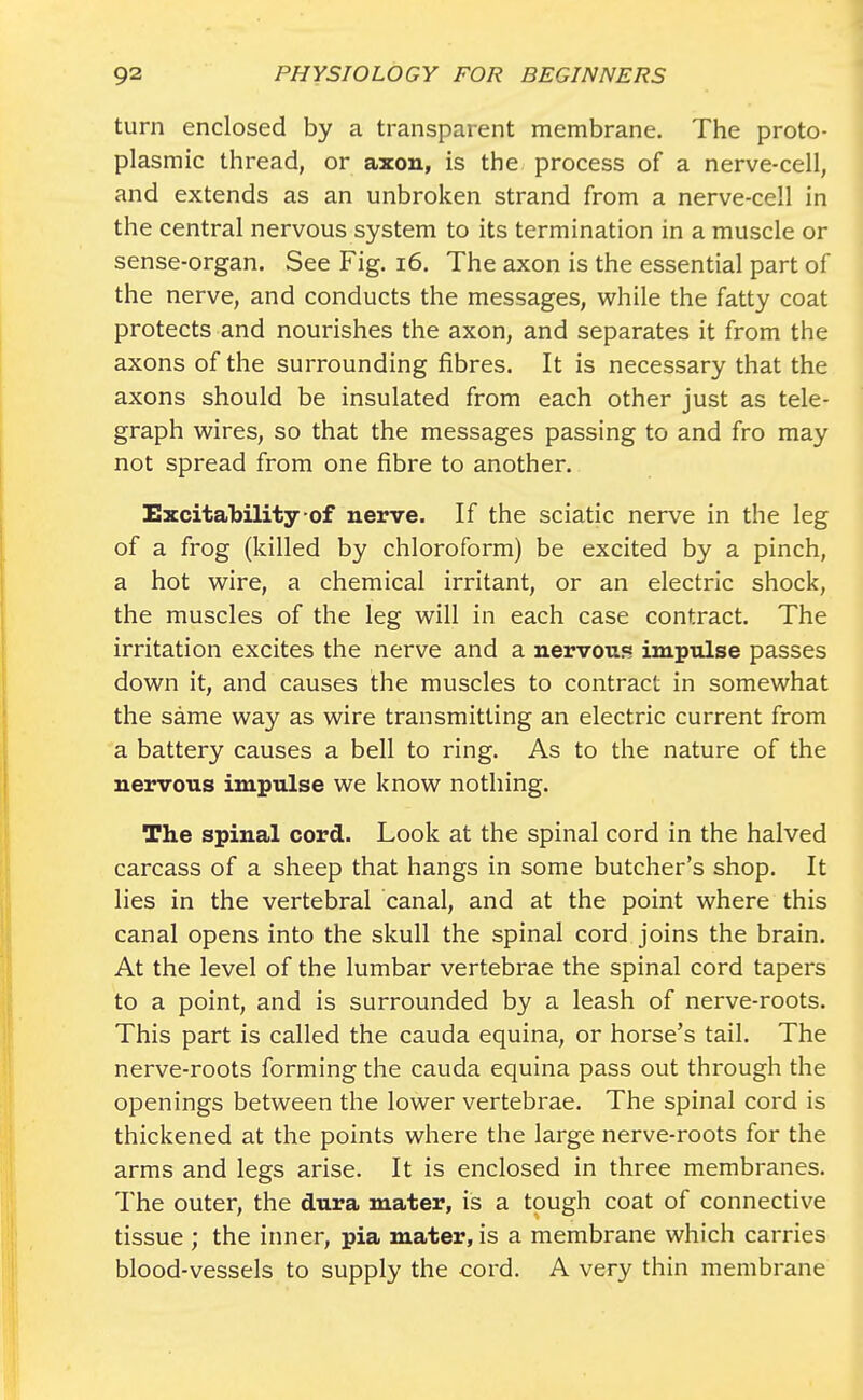 turn enclosed by a transparent membrane. The proto- plasmic thread, or axon, is the process of a nerve-cell, and extends as an unbroken strand from a nerve-cell in the central nervous system to its termination in a muscle or sense-organ. See Fig. 16. The axon is the essential part of the nerve, and conducts the messages, while the fatty coat protects and nourishes the axon, and separates it from the axons of the surrounding fibres. It is necessary that the axons should be insulated from each other just as tele- graph wires, so that the messages passing to and fro may not spread from one fibre to another. Excitability of nerve. If the sciatic nerve in the leg of a frog (killed by chloroform) be excited by a pinch, a hot wire, a chemical irritant, or an electric shock, the muscles of the leg will in each case contract. The irritation excites the nerve and a nervous impulse passes down it, and causes the muscles to contract in somewhat the same way as wire transmitting an electric current from a battery causes a bell to ring. As to the nature of the nervous impulse we know nothing. The spinal cord. Look at the spinal cord in the halved carcass of a sheep that hangs in some butcher's shop. It lies in the vertebral canal, and at the point where this canal opens into the skull the spinal cord joins the brain. At the level of the lumbar vertebrae the spinal cord tapers to a point, and is surrounded by a leash of nerve-roots. This part is called the cauda equina, or horse's tail. The nerve-roots forming the cauda equina pass out through the openings between the lower vertebrae. The spinal cord is thickened at the points where the large nerve-roots for the arms and legs arise. It is enclosed in three membranes. The outer, the dura mater, is a tough coat of connective tissue ; the inner, pia mater, is a membrane which carries blood-vessels to supply the cord. A very thin membrane