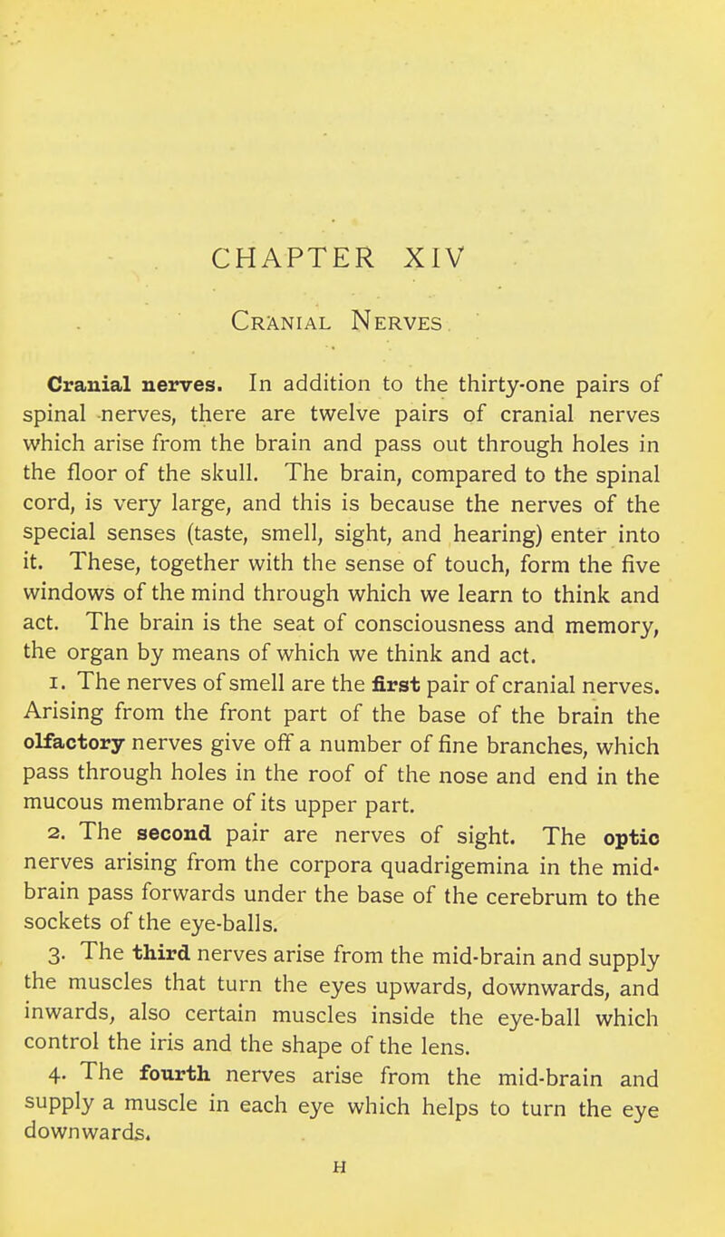 CHAPTER XIV Cranial Nerves. Cranial nerves. In addition to the thirty-one pairs of spinal nerves, there are twelve pairs of cranial nerves which arise from the brain and pass out through holes in the floor of the skull. The brain, compared to the spinal cord, is very large, and this is because the nerves of the special senses (taste, smell, sight, and hearing) enter into it. These, together with the sense of touch, form the five windows of the mind through which we learn to think and act. The brain is the seat of consciousness and memory, the organ by means of which we think and act. 1. The nerves of smell are the first pair of cranial nerves. Arising from the front part of the base of the brain the olfactory nerves give off a number of fine branches, which pass through holes in the roof of the nose and end in the mucous membrane of its upper part. 2. The second pair are nerves of sight. The optic nerves arising from the corpora quadrigemina in the mid- brain pass forwards under the base of the cerebrum to the sockets of the eye-balls. 3. The third nerves arise from the mid-brain and supply the muscles that turn the eyes upwards, downwards, and inwards, also certain muscles inside the eye-ball which control the iris and the shape of the lens. 4. The fourth nerves arise from the mid-brain and supply a muscle in each eye which helps to turn the eye downwards. H