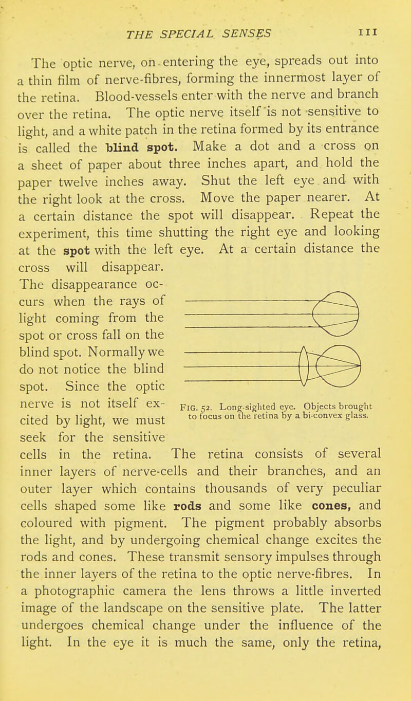 The optic nerve, on entering the eye, spreads out into a thin film of nerve-fibres, forming the innermost layer of the retina. Blood-vessels enter with the nerve and branch over the retina. The optic nerve itself is not sensitive to light, and a white patch in the retina formed by its entrance is called the blind spot. Make a dot and a cross on a sheet of paper about three inches apart, and hold the paper twelve inches away. Shut the left eye and with the right look at the cross. Move the paper nearer. At a certain distance the spot will disappear. Repeat the experiment, this time shutting the right eye and looking at the spot with the left eye. At a certain distance the cross will disappear. The disappearance oc- curs when the rays of light coming from the spot or cross fall on the blind spot. Normally we do not notice the blind spot. Since the optic nerve is not itself ex- cited by light, we must seek for the sensitive cells in the retina. The retina consists of several inner layers of nerve-cells and their branches, and an outer layer which contains thousands of very peculiar cells shaped some like rods and some like cones, and coloured with pigment. The pigment probably absorbs the light, and by undergoing chemical change excites the rods and cones. These transmit sensory impulses through the inner layers of the retina to the optic nerve-fibres. In a photographic camera the lens throws a little inverted image of the landscape on the sensitive plate. The latter undergoes chemical change under the influence of the light. In the eye it is much the same, only the retina, FlG. 52. Long sighted eye. Objects brought to focus on the retina by a bi convex glass.