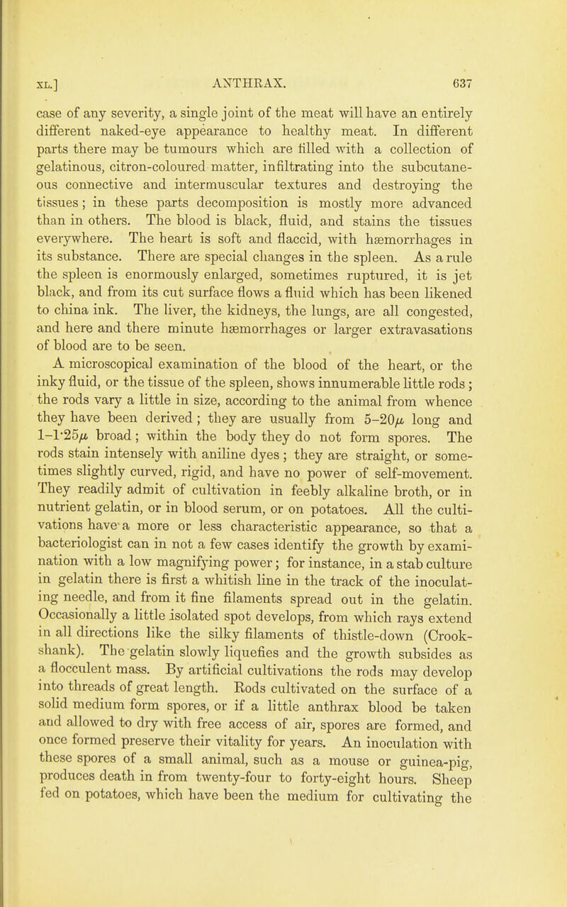 case of any severity, a single joint of the meat will have an entirely different naked-eye appearance to healthy meat. In different parts there may be tumours which are tilled with a collection of gelatinous, citron-coloured matter, infiltrating into the subcutane- ous connective and intermuscular textures and destroying the tissues; in these parts decomposition is mostly more advanced than in others. The blood is black, fluid, and stains the tissues everywhere. The heart is soft and flaccid, with hsemorrhages in its substance. There are special changes in the spleen. As a rule the spleen is enormously enlarged, sometimes ruptured, it is jet black, and from its cut surface flows a fluid which has been likened to china ink. The liver, the kidneys, the lungs, are all congested, and here and there minute haemorrhages or larger extravasations of blood are to be seen. A microscopical examination of the blood of the heart, or the inky fluid, or the tissue of the spleen, shows innumerable little rods; the rods vary a little in size, according to the animal from whence they have been derived ; they are usually from 5-20yu. long and 1-1'25/i broad; within the body they do not form spores. The rods stain intensely with aniline dyes ; they are straight, or some- times slightly curved, rigid, and have no power of self-movement. They readily admit of cultivation in feebly alkaline broth, or in nutrient gelatin, or in blood serum, or on potatoes. All the culti- vations have-a more or less characteristic appearance, so that a bacteriologist can in not a few cases identify the growth by exami- nation with a low magnifying power; for instance, in a stab culture in gelatin there is first a whitish line in the track of the inoculat- ing needle, and from it fine filaments spread out in the gelatin. Occasionally a little isolated spot develops, from which rays extend in all directions like the silky filaments of thistle-down (Crook- shank). The gelatin slowly liquefies and the growth subsides as a flocculent mass. By artificial cultivations the rods may develop into threads of great length. Rods cultivated on the surface of a solid medium form spores, or if a little anthrax blood be taken and allowed to dry with free access of air, spores are formed, and once formed preserve their vitality for years. An inoculation with these spores of a small animal, such as a mouse or guinea-pig, produces death in from twenty-four to forty-eight hours. Sheep fed on potatoes, which have been the medium for cultivating the