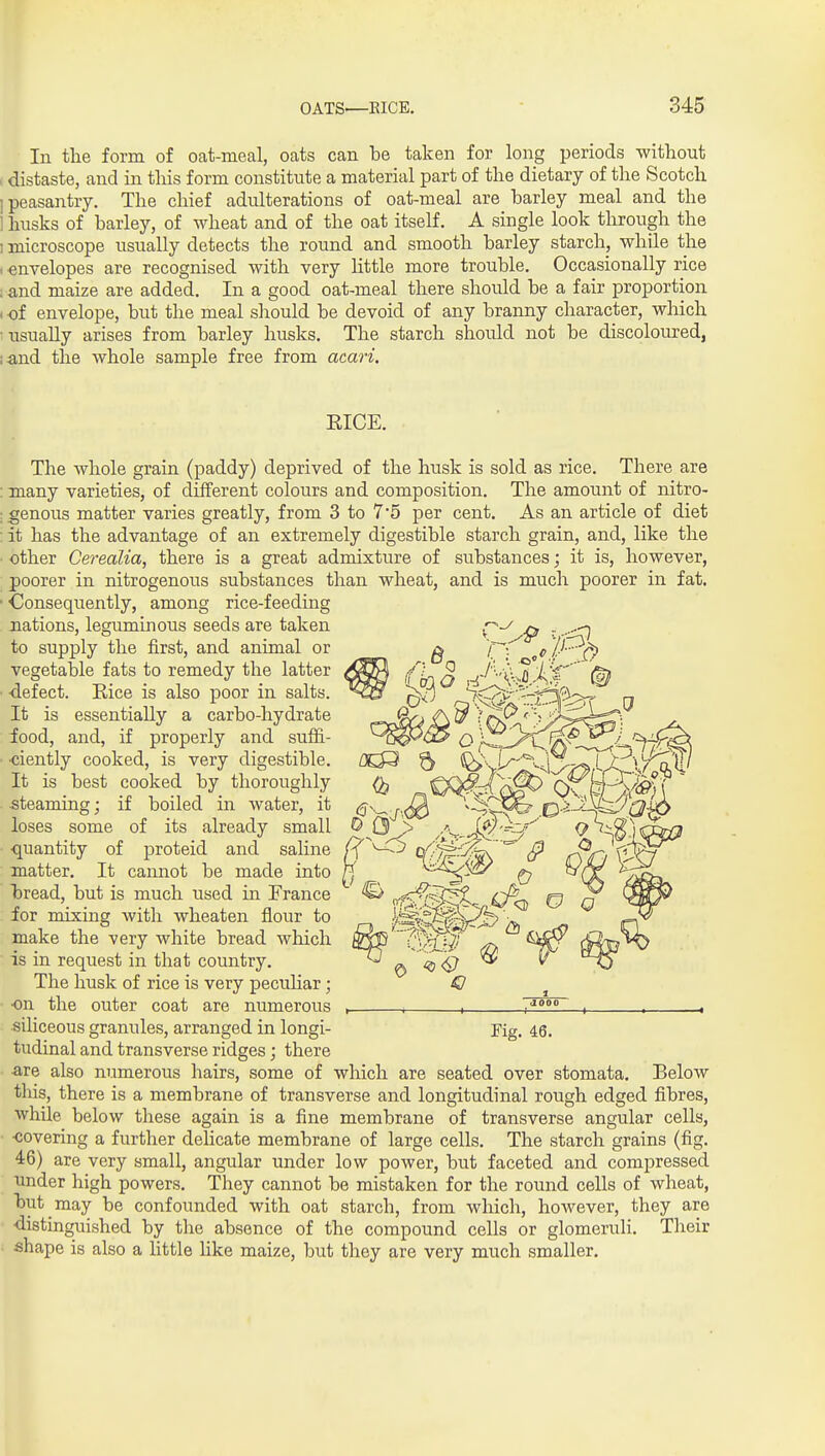 In the form of oat-meal, oats can be taken for long periods without , distaste, and in this form constitute a material part of the dietary of the Scotch 1 peasantry. The chief adulterations of oat-meal are barley meal and the 1 husks of barley, of wheat and of the oat itself. A single look through the 1 microscope usually detects the round and smooth barley starch, while the . envelopes are recognised with very httle more trouble. Occasionally rice ;and maize are added. In a good oat-meal there should be a fair proportion . of envelope, but the meal should be devoid of any branny character, which 5 usually arises from barley husks. The starch should not be discoloured, ia.nd the whole sample free from atari. EICE. The whole grain (paddy) deprived of the husk is sold as rice. There are : many varieties, of different colours and composition. The amount of nitro- : genous matter varies greatly, from 3 to 7*5 per cent. As an article of diet ■ it has the advantage of an extremely digestible starch grain, and, like the other Cerealia, there is a great admixture of substances; it is, however, poorer in nitrogenous substances than wheat, and is much poorer in fat. • <IIonsequently, among rice-feeding jiations, leguminous seeds are taken to supply the first, and animal or vegetable fats to remedy the latter ■ -defect. Eice is also poor in salts. It is essentially a carbo-hydrate food, and, if properly and suffi- ■ ■ciently cooked, is very digestible. It is best cooked by thoroughly steaming; if boiled in water, it loses some of its already small quantity of j)roteid and saline matter. It cannot be made into bread, but is much used in France for mixing with wheaten flour to make the very white bread which is in request in that country. The husk of rice is very pecuHar; on the outer coat are numerous siliceous granules, arranged in longi- Fig. 46. tudinal and transverse ridges; there -are also numerous hairs, some of which are seated over stomata. Below this, there is a membrane of transverse and longitudinal rough edged fibres, while below these again is a fine membrane of transverse angular cells, ■covering a further delicate membrane of large cells. The starch grains (fig. 46) are very small, angular under low power, but faceted and compressed under high powers. They cannot be mistaken for the round cells of wheat, but may be confounded with oat starch, from which, however, they are distinguished by the absence of the compound cells or glomeruli. Their shape is also a little hke maize, but they are very much smaller.