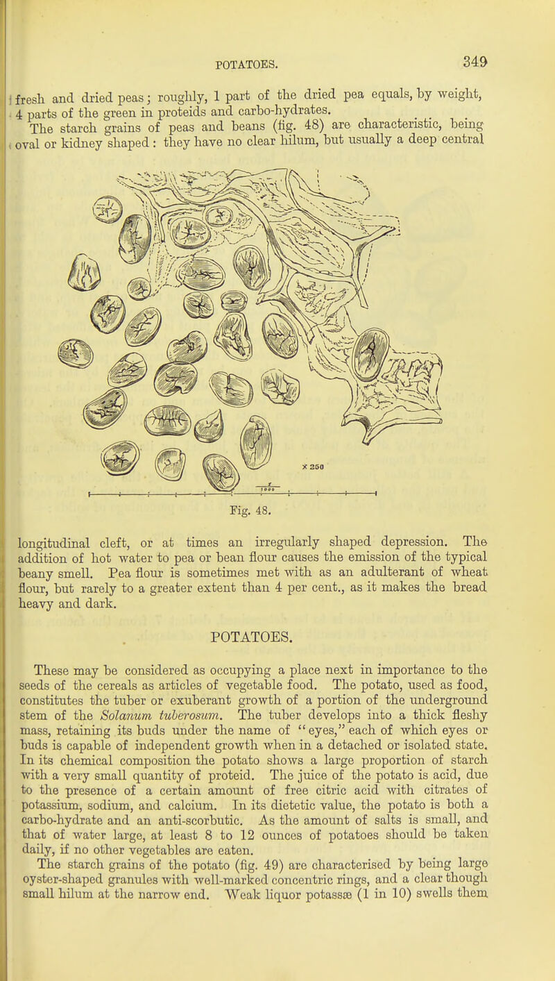 POTATOES. fresh and dried peas; roughly, 1 part of the dried pea equals, by weight, . 4 parts of the green in proteids and carbo-hydrates. The starch grains of peas and beans (fig. 48) are characteristic, being oval or kidney shaped: they have no clear liilum, but usually a deep central Pig. 48. longitudinal cleft, or at times an irregularly shaped depression. Tha addition of hot water to pea or bean flour causes the emission of the typical beany smell. Pea flour is sometimes met with as an adulterant of wheat flour, but rarely to a greater extent than 4 per cent,, as it makes the bread heavy and dark. POTATOES. These may be considered as occupying a place next in importance to the seeds of the cereals as articles of vegetable food. The potato, used as food, constitutes the tuber or exuberant growth of a portion of the underground stem of the Solanum tuherosam. The tuber develops into a thick fleshy mass, retaining its buds under the name of eyes, each of which eyes or buds is capable of independent growth when in a detached or isolated state. In its chemical composition the potato shows a large proportion of starch with a very small quantity of proteid. The juice of the potato is acid, due to the presence of a certain amount of free citric acid with citrates of potassium, sodium, and calcium. In its dietetic value, the potato is both a carbo-hydrate and an anti-scorbutic. As the amount of salts is small, and that of water large, at least 8 to 12 ounces of potatoes should be taken daily, if no other vegetables are eaten. The starch grains of the potato (fig. 49) are characterised by being large oyster-shaped granules with well-marked concentric rings, and a clear though small hilum at the narrow end. Weak liquor potassae (1 in 10) swells them