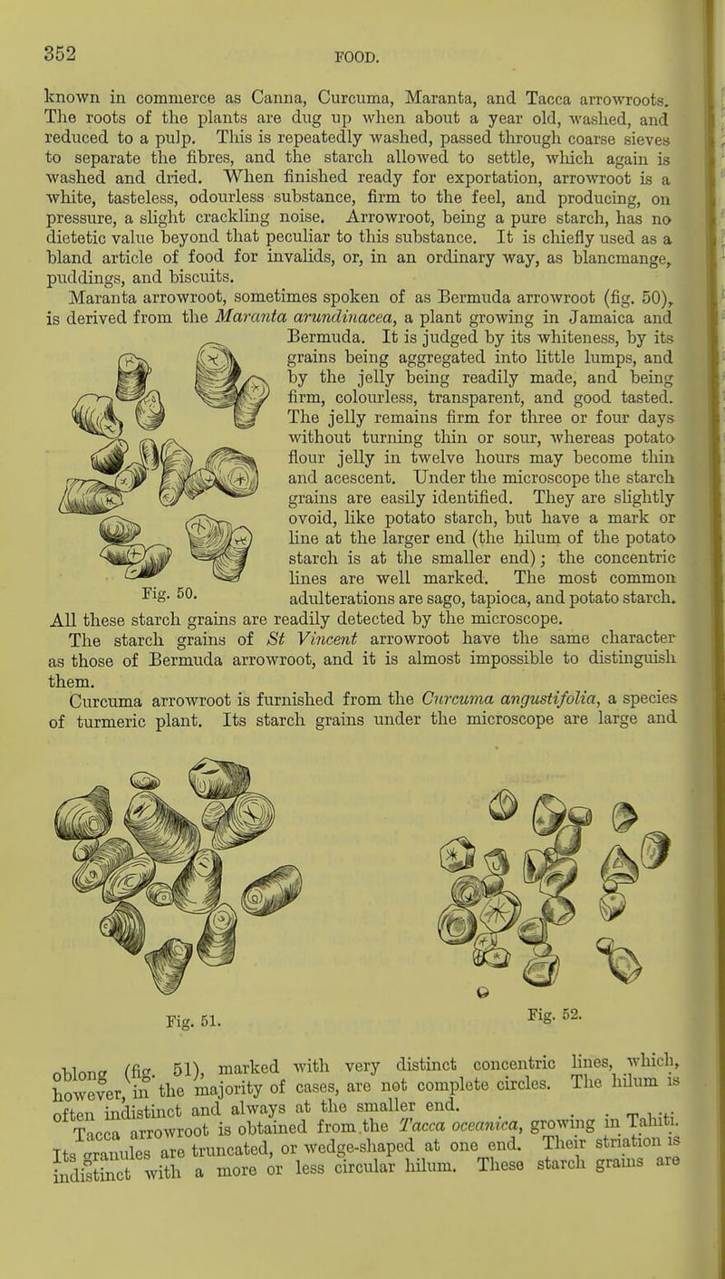 known in commerce as Canna, Curcuma, Maranta, and Tacca arrowroots. The roots of the plants are dug up when about a year old, Avashed, and reduced to a pulp. Tliis is repeatedly washed, passed through coarse sieves to separate the fibres, and the starch allowed to settle, which again is washed and dried. When finished ready for exportation, arrowroot is a white, tasteless, odourless substance, firm to the feel, and producing, on pressure, a slight crackling noise. Arrowroot, being a pure starch, has no dietetic value beyond that peculiar to this substance. It is chiefly used as a bland article of food for invalids, or, in an ordinary way, as blancmange,, puddings, and biscuits. Maranta arrowroot, sometimes spoken of as Bermuda arroAvroot (fig. 50),. is derived from the Maranta arundmacea, a plant growing in Jamaica and Bermuda. It is judged by its whiteness, by its grains being aggregated into little lumps, and by the jelly being readily made, and being firm, colourless, transparent, and good tasted. The jelly remains firm for three or four days without turning thin or sour, Avhereas potata flour jelly in twelve hours may become thin and acescent. Under the microscope the starch grains are easily identified. They are slightly ovoid, like potato starch, but have a mark or Hne at the larger end (the hilum of the potato starch is at the smaller end); the concentric lines are well marked. The most common adulterations are sago, tapioca, and potato starch. All these starch grains are readily detected by the microscope. The starch grains of St Vincent arrowroot have the same character as those of Bermuda arrowroot, and it is almost impossible to distinguish them. Curcuma arrowroot is furnished from the Curcuma angustifoUa, a species of turmeric plant. Its starch grains under the microscope are large and Fig. 50. Fig. 51. Fig. 52. n-hlnncT (fis 51), marked with very distinct concentric Hues, wHch, however in the majority of cases, are not complete circles. The hilum is often indistinct and always at the smaller end. _ . Tnpra arrowroot is obtained from.the Tacca oceanica, growing m Taluti. Its granules are truncated, or wedge-shaped at one end. Their striation is SdisUncrwith a more or less circular hilum. These starch grains are