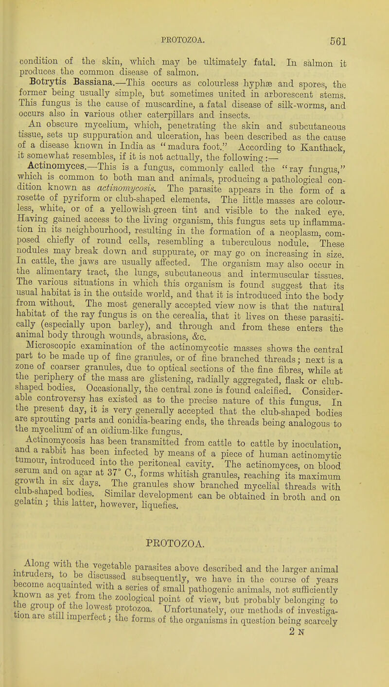 condition of tlie skin, which may be ultimately fatal. In salmon it produces the common disease of salmon. Botrytis Bassiana.—This occurs as colourless hyphae and spores, the former being usually simple, but sometimes united in arborescent stems. This fungus is the cause of muscardine, a fatal disease of silk-Avorms, and occurs also in various other caterpillars and insects. _ An obscure mycelium, which, penetrating the skin and subcutaneous tissue, sets up suppuration and ulceration, has been described as the cause of a disease known in India as  madura foot. According to Kanthack, it somewhat resembles, if it is not actually, the following:— Actinomyces.—This is a fimgus, commonly called the ray fungus, which is common to both man and animals, producing a pathological con- dition known as actinomycosis. The parasite appears in the form of a rosette of pyriform or club-shaped elements. The little masses are colour- less, white, or of a yellowish green tmt and visible to the naked eye. Having gained access to the living organism, this fungus sets up inflamma- tion in its neighbourhood, resulting in the formation of a neoplasm, com- posed chiefly of round cells, resembhng a tuberculous nodule. These nodules may break down and suppurate, or may go on increasing in size. In cattle, the jaws are usually affected. The organism may also occur in the ahmentary tract, the lungs, subcutaneous and intermuscular tissues. The various situations in which this organism is found suggest that its usual habitat is in the outside world, and that it is introduced into the body from without. The most generally accepted view now is that the natural habitat of the ray fungus is on the cerealia, that it lives on these parasiti- cally (especially upon barley), and through and from these enters the animal body through wounds, abrasions, &c. Microscopic examination of the actinomycotic masses shows the central part to be made up of fine granules, or of fine branched threads; next is a zone of coarser granules, due to optical sections of the fine fibres, while at the periphery of the mass are ghstening, radially aggregated, flask or club- shaped bodies. Occasionally, the central zone is found calcifled. Consider- able controversy has existed as to the precise nature of this fungus In the present day, it is very generally accepted that the club-shaped bodies are sproutmg parts and conidia-bearing ends, the threads being analocrous to the mycelium- of an oidium-hke fungus. Actmomycosis has been transmitted from cattle to cattle by inoculation and a rabbit has been infected by means of a piece of human actinomytic tumour, introduced into the peritoneal cavity. The actinomyces, on blood serum and on agar at 37° C, forms whitish granules, reachmg its maximum S?ir!?.'''iYr^^'- J^''^ 8'^^^' branched mycehal threads with ^If^ ^fT- ? • development can be obtained in broth and on gelatin ; this latter, however, hquefies. PEOTOZOA. infllr^ ^^ith the vegetable parasites above described and the larger animal intruders, to be discussed subsequently, we have in the course of years become acquainted with a series of small pathogenic animals, not sufficiently known as yet from the zoological point of view, but probably belonging to the group of the lowest protozoa. Unfortunately, our methods of investiga- tion are still imperfect; the forms of the organisms in question being scarcely 2 N