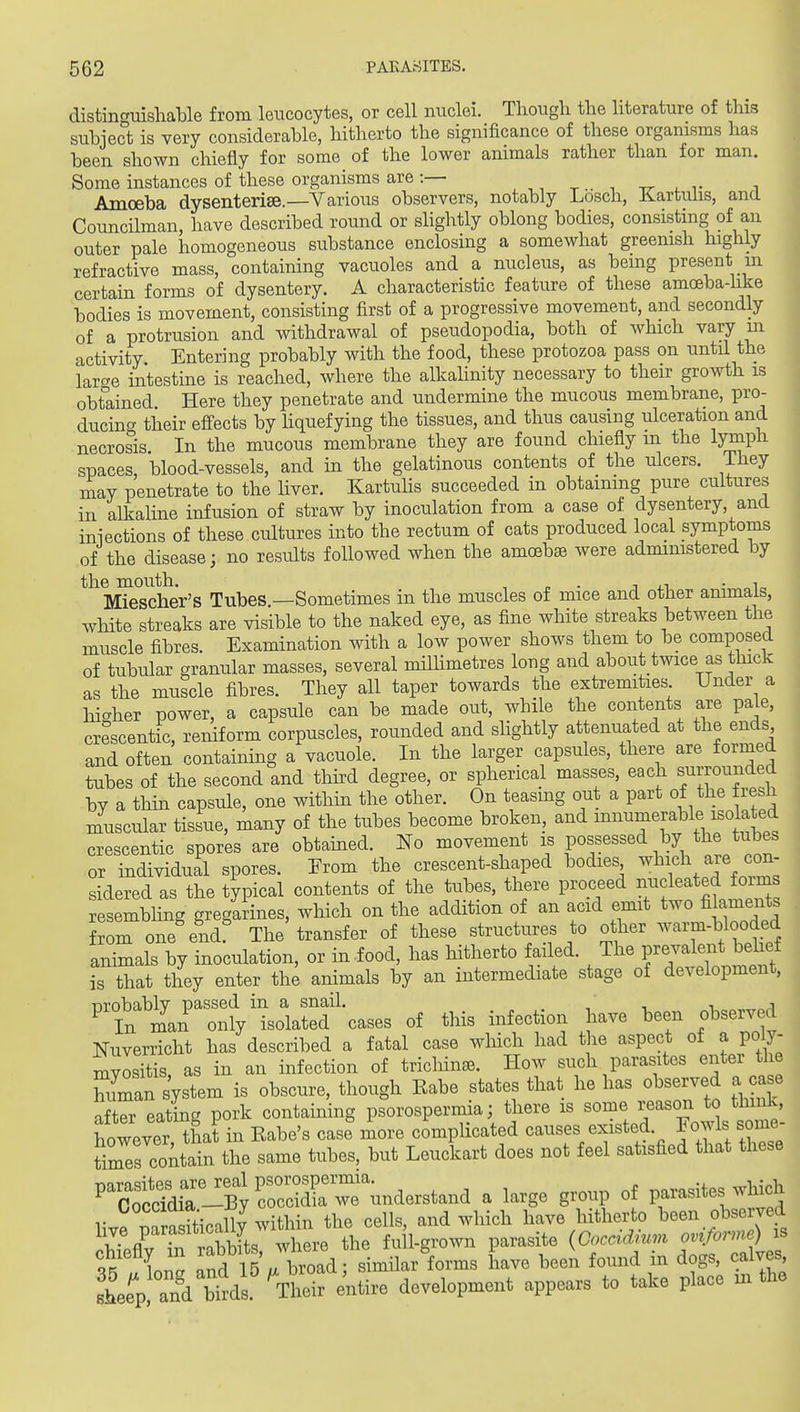 distinguishable from leucocytes, or cell nuclei. Tliougli the literature of this subject is very considerable, hitherto the significance of these organisms has been shown chiefly for some of the lower animals rather than for man. Some instances of these organisms are:— ^ _ ^ ,. , Amoeba dysenterise.—Various observers, notably Losch, ilartulis, and Councilman, have described round or sHghtly oblong bodies, consisting of an outer pale homogeneous substance enclosing a somewhat greenish highly refractive mass, containing vacuoles and a nucleus, as beuig present m certam forms of dysentery. A characteristic featiu-e of these amoeba-hke bodies is movement, consisting first of a progressive movement, and secondly of a protrusion and withdrawal of pseudopodia, both of which vary m activity Entering probably with the food, these protozoa pass on until the larcre intestine is reached, where the alkalinity necessary to their growth is obtained Here they penetrate and undermine the mucous membrane, pro- ducing their effects by hquefying the tissues, and thus causing ulceration and necrosis In the mucous membrane they are found chiefly m the lympli spaces, blood-vessels, and in the gelatinous contents of the ulcers. They may penetrate to the liver. Kartuhs succeeded in obtaining pure cultures in alkaline infusion of straw by inoculation from a case of dysentery, and iniections of these cultures into the rectum of cats produced local symptoms of the disease; no residts followed when the amoebae were administered by ^^nSlier's Tubes —Sometimes in the muscles of mice and other animals, white streaks are visible to the naked eye, as fine white streaks between the muscle fibres. Examination with a low power shows them to be composed of tubular granular masses, several millimetres long and about twice as tluck as the muscle fibres. They all taper towards the extremities Under a higher power, a capsule can be made out, while the contents are pale, crescentic, reniform corpuscles, rounded and slightly attenuated at the ends and often containing a vacuole. In the larger capsules, there are formed tubes of the second and thhd degree, or spherical masses, each surrounded by a thin capsule, one within the other. On teasing out a part of the fresh muscular tissue, many of the tubes become broken, and innumerable isolated crescentic spores are obtained. No movement is possessed by the tubes or individual spores. Erom the crescent-shaped bodies which are con- sidered as the typical contents of the tubes, there proceed nucleated forms resembling gregarines, which on the addition of an acid emit two filaments ^0^0^ end! The transfer of these structures to other warm-blooded animals by inoculation, or in food, has hitherto failed. The prevaleiit belief is that they enter the animals by an intermediate stage of development, nrir::t'isolXf cases of this infection have been observed Nuverricht has described a fatal case which had the aspect of a poiy- mvositis as in an infection of trichina. How such parasites enter the Wan system is obscure, though Eabe states that he has observed a case after eatLg pork containing psorospermia; there is ^^^^^ J^^^^^^^/^^i however that in Babe's case more complicated causes existed. Fowls some times contain the same tubes, but Leuckart does not feel satisfied that these '^t^S^^^^^^^^^^ ^ g-^^P parasites which live mrSically within the cells, and which have hitherto been observed wX Tv^vWitB where the full-grown parasite (Coccidium oviforme) is \Z afd 15/broad; similar forms have been found in dogs, calves L^p! and btds '^rLr entire development appears to take place in the