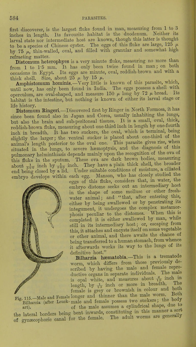 first discoverer, is tlie largest fluke found in man, measuring from 1 to 3 inches in length. Its favourite hahitat is the duodenum. Neither its larval state nor intermediate host are known, though this latter is thought to be a species of Chinese oyster. The eggs of this fluke are large, 125 /a by 75 /A, thin-walled, oval, and filled with granular and somewhat high refracting matter. Distomum heterophyes is a very minute fluke, measuring no more than from 1 to 1-5 mm. It has only been twice found in man; on both occasions in Egypt. Its eggs are minute, oval, reddish-brown and with a thick shell. Size, about 25 by 15 /x. _ Amphistomum hominis.—Very little is known of this parasite, which, until now, has only been found in India. The eggs possess a shell with operculum, are oval-shaped, and measure 150 /a long by 72 broad. Its habitat is the intestine, but nothing is known of either its larval stage or life history. Distomum Ringeri.—Discovered first by Einger in JTorth Formosa, it has since been found also in Japan and Corea, usually inliabiting the lungs, but also the brain and sub-peritoneal tissues. It is a small, oval, thick, reddish-brown fluke, measuring about one-third inch in length by one-fourth inch in breadth. It has two suckers, the oval, wMch is terminal, bemg shghtly the larger; the ventral sucker is placed about one-third of the animal's length posterior to the oval one. This parasite gives rise, when situated in the lungs, to severe hsemoptysis, and the diagnosis of this pulmonary helmintloiasis depends mainly upon the recognition of the ova of this fluke in the sputum. These ova are dark brown bodies, measurmg about inch by ^ inch. They have a plain thick shell, the broader end being closed by a hd. Under suitable conditions of moisture, a cihated embryo develops within each egg. Manson, who has closely studied the eggs of this fluke, considers that, m water, the embryo distome seeks out an intermediary host in the shape of some mollusc or other fresh- water animal; and that, after entering this, either by being swallowed or by penetrating its integument, it\indergoes the complex metamor- phosis pecuhar to the distomes. When this is completed it is either swaUowed by man, wliile still in its intermediary host; or, escaping from this, it attaches and encysts itself on some vegetable or other animal, and there awaits the chance of being transferred to a human stomach, from whence it afterwards works its way to the lungs of its definitive host. Bilharzia hsematobia.—This is a trematode worm, which differs from those previously de- scribed by having the male and female repro- ductive organs in separate individuals. The male is opal white, and measures about ^-^ mch in length, by inch or more in breadth. The female is grey or brownish in colour and both Fig I15.-Male and Female longer and thinner than the male worm Both ^Bilharzia (after Leuck-male and female possess two suckers; the body art). of the male assumes a cylindrical shape, due to th« literal borders being bent inwards, constituting in this manner a sort