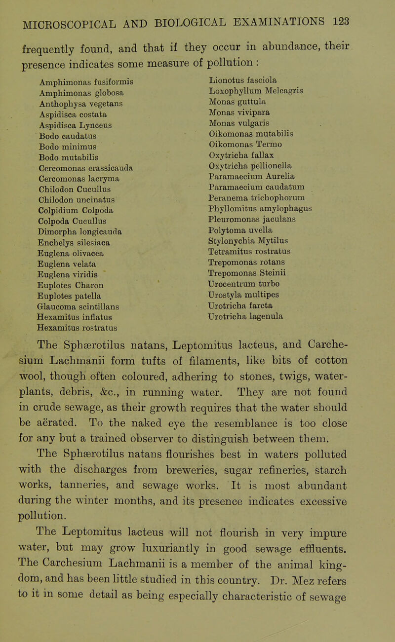 frequently found, and that if they occur in abundance, their presence indicates some measure of pollution : Amphimonas fusiformis Lionotus fasciola Amphimonas globosa Loxophyllum Meleagris Anthophysa vegetans Monas guttula Aspidisca costata Monas vivipara Aspidisca Lynceus Monas vulgaris Bodo caudatus Oikomonas mutabilis Bodo minimus Oikomonas Termo Bodo mutabilis Oxytricha fallax Cercomonas crassicauda Oxytricha pellionella Cercomonas lacryma Paramaecium Aurelia Chilodon Cucullus Paramaecium caudatum Chilodon uncinatus Peranema trichopliorum Colpidium Colpoda Phyllomitus amylophagus Colpoda Cucullus Pleuromonas jaculans Dimorpha longicauda Polytoma uvella Enchelys silesiaca Stylonychia Mytilus Euglena olivacea Tetramitus rostratus Euglena velata Trepomonas rotans Euglena viridis Trepomonas Steinii Euplotes Charon ' Urocentrum turbo Euplotes patella Urostyla multipes Glaucoma scintillans Urotricha farcta Hexamitus inflatus Urotricha lagenula Hexamitus rostratus The Sphaerotilus natans, Leptomitus lacteus, and Carche- sium Lachmanii form tufts of filaments, like bits of cotton wool, though often coloured, adhering to stones, twigs, water- plants, debris, &c., in running water. They are not found in crude sewage, as their growth requires that the water should be aerated. To the naked eye the resemblance is too close for any but a trained observer to distinguish between them. The Sphaerotilus natans flourishes best in waters polluted with the discharges from breweries, sugar refineries, starch works, tanneries, and sewage works. It is most abundant during the winter months, and its presence indicates excessive pollution. The Leptomitus lacteus will not flourish in very impure water, but may grow luxuriantly in good sewage effluents. The Carchesium Lachmanii is a member of the animal king- dom, and has been little studied in this country. Dr. Mez refers to it in some detail as being especially characteristic of sewage