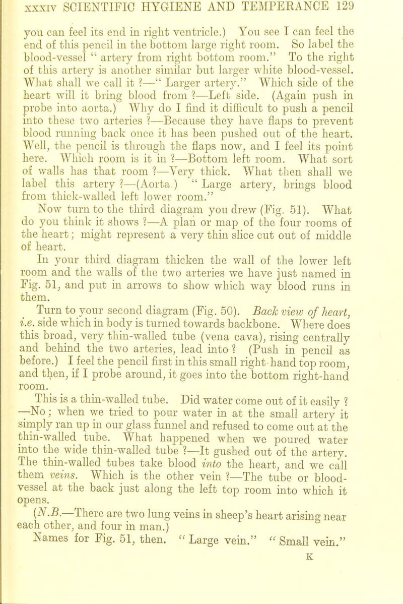 you can feel its end in right ventricle.) You see I can feel the end of this pencil in the bottom large right room. So label the blood-vessel  artery from right bottom room. To the right of this artery is another similar but larger white blood-vessel. What shall we call it ?— Larger artery. Which side of the heart will it bring blood from ?—Left side. (Again push in probe into aorta.) Why do I find it diflicult to push a pencil into these two arteries ?—Because they have flaps to prevent blood running back once it has been pushed out of the heart. Well, the pencil is through the flaps now, and I feel its point here. Which room is it in ?—Bottom left room. What sort of walls has that room ?—Very thick. What then shall we label this artery ?—(Aorta )  Large artery, brings blood fi-om thick-walled left lower room. Now turn to the third diagram you drew (Fig. 51). What do you think it shows ?—A plan or map of the four rooms of the heart; might represent a very thin sUce cut out of middle of heart. In your thii-d diagram thicken the wall of the lower left room and the walls of the two arteries we have just named in Fig. 51, and put in arrows to show which way blood runs in them. Turn to your second diagram (Fig. 50). Bach view of heart, i.e. side which in body is turned towards backbone. Where does this broad, very thin-walled tube (vena cava), rising centrally and behind the two arteries, lead into ? (Push in pencil as before.) I feel the pencil first in this small right hand top room, and then, if I probe around, it goes into the bottom right-hand room. This is a thin-walled tube. Did water come out of it easily ? —No; when we tried to pour water m at the small artery it sirnply ran up in our glass funnel and refused to come out at the thin-walled tube. What happened when we poured water mto the wide thha-walled tube ?—It gushed out of the artery. The thin-walled tubes take blood into the heart, and we call them veins. Which is the other vein ?—The tube or blood- vessel at the back just along the left top room into which it opens. {N.B.—There are two lung veins in sheep's heart arising near each other, and four in man.) Names for Fig. 51, then.  Large vein.  Small vein. K